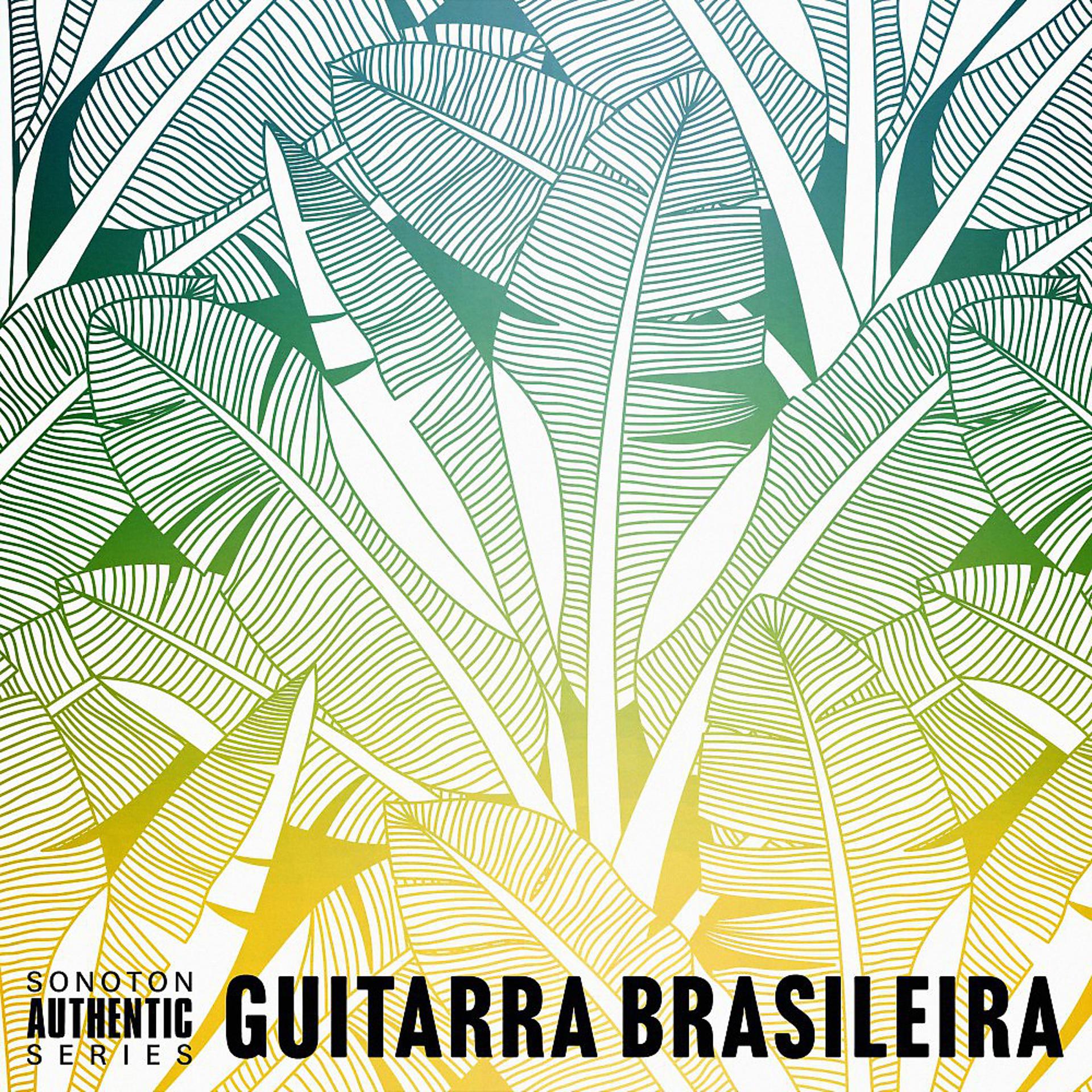 Постер альбома Guitarra Brasileira