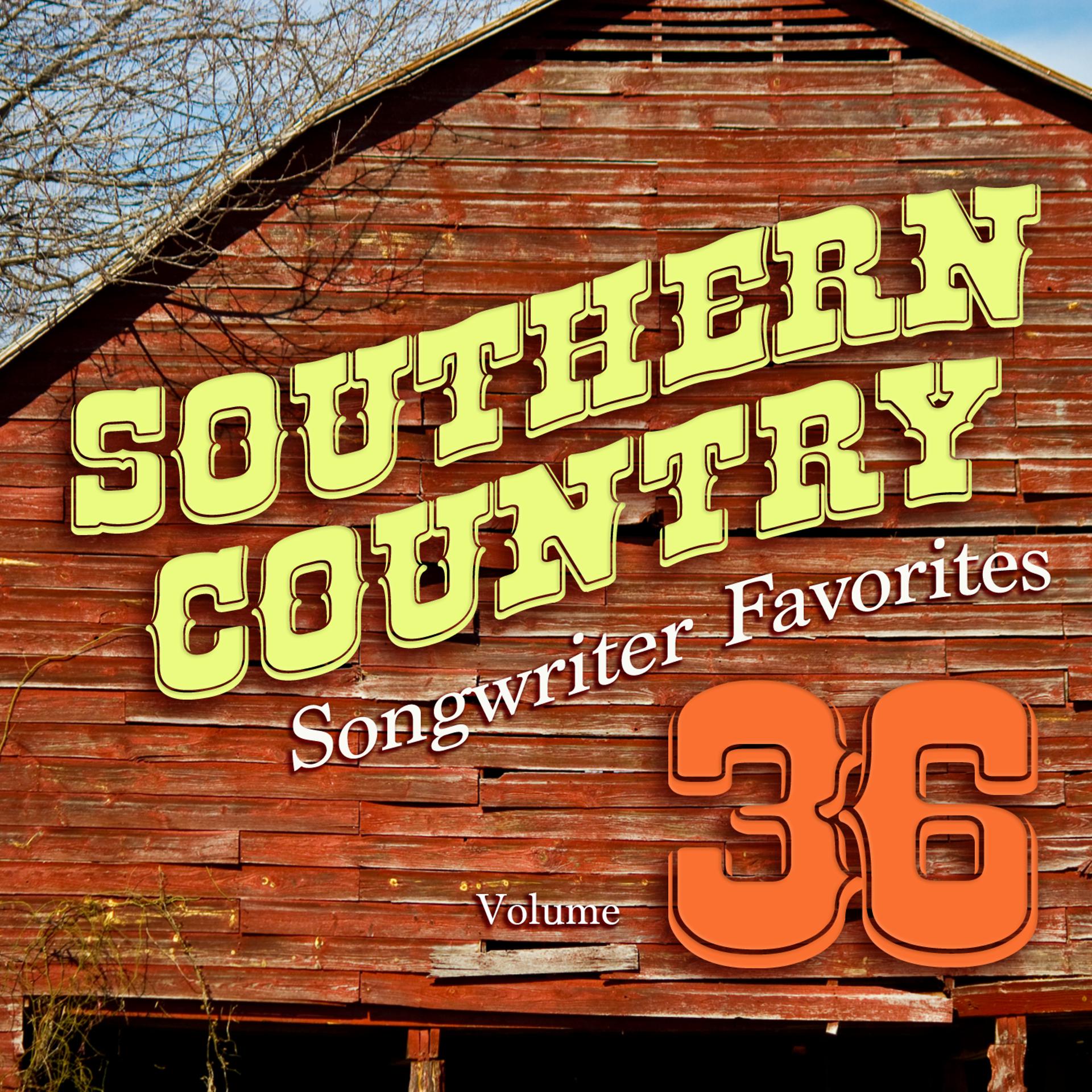 Постер альбома Southern Country Songwriter Favorites, Vol. 36