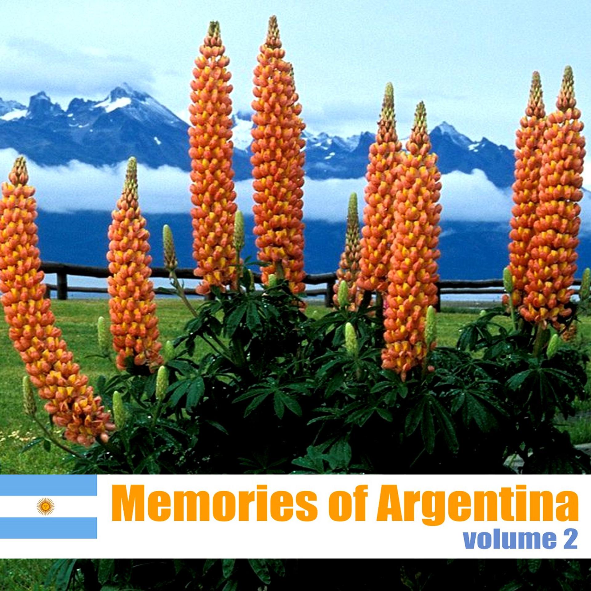 Постер альбома Memories of Argentina, Volume 2