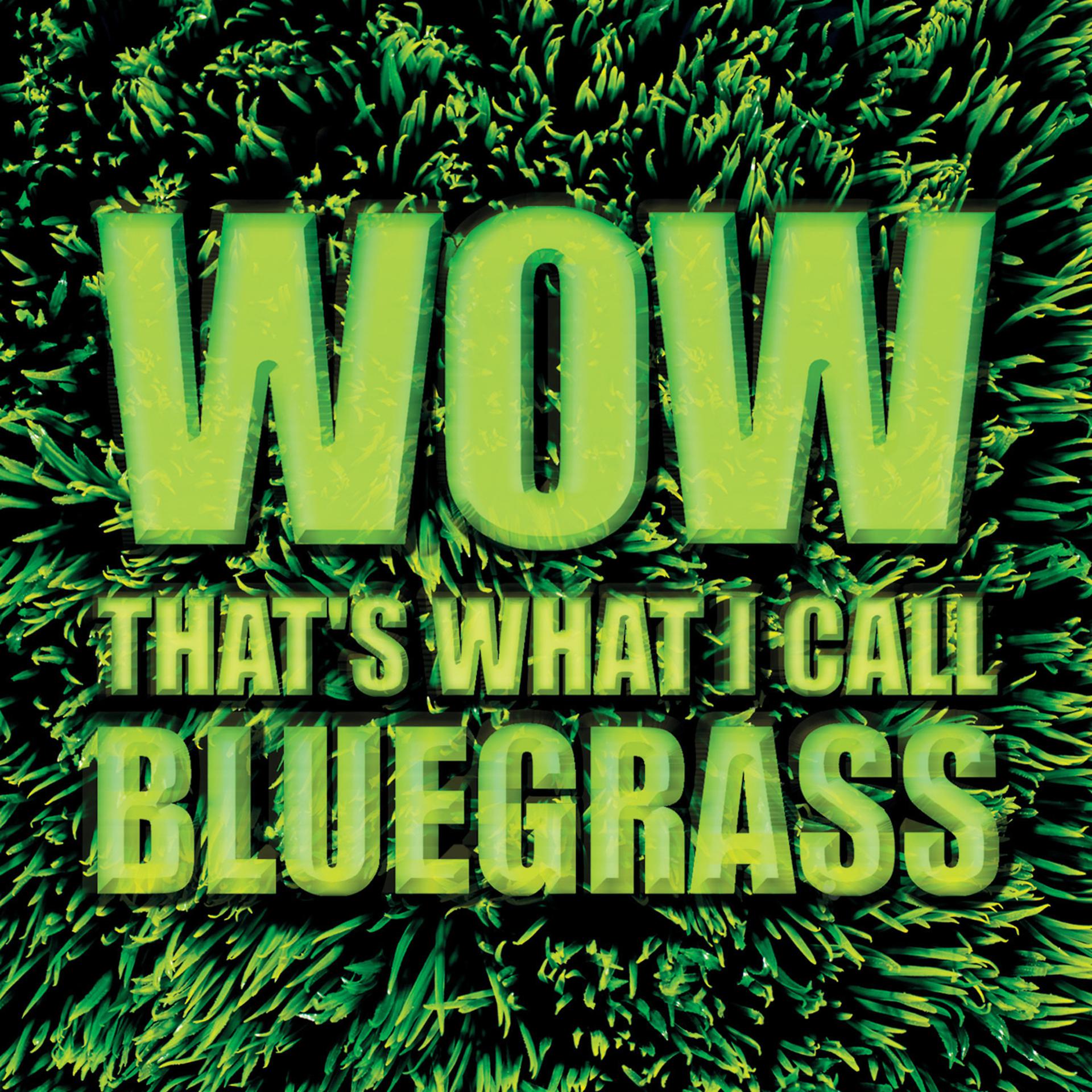 Постер альбома Wow That's What I Call Bluegrass