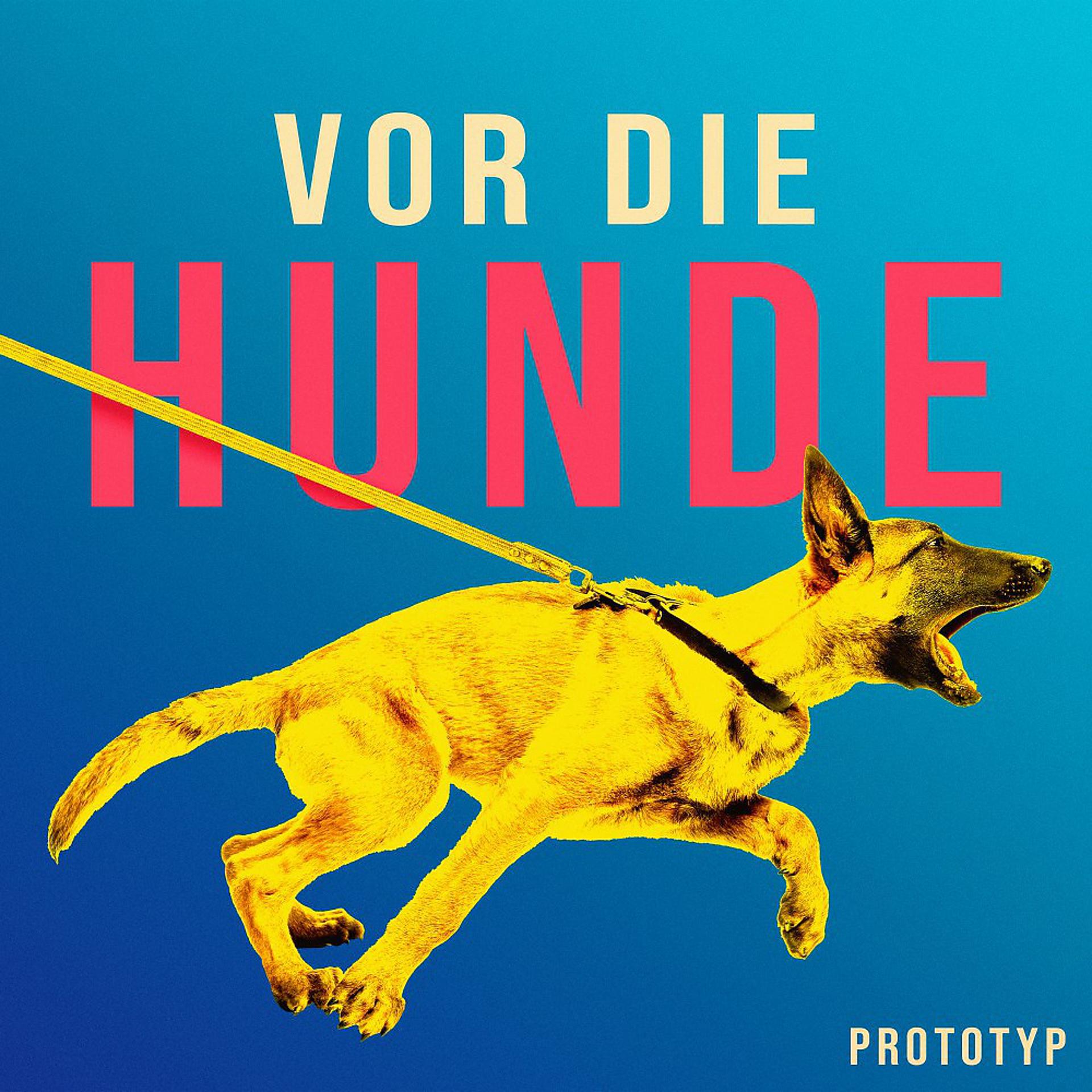 Постер альбома Vor die Hunde