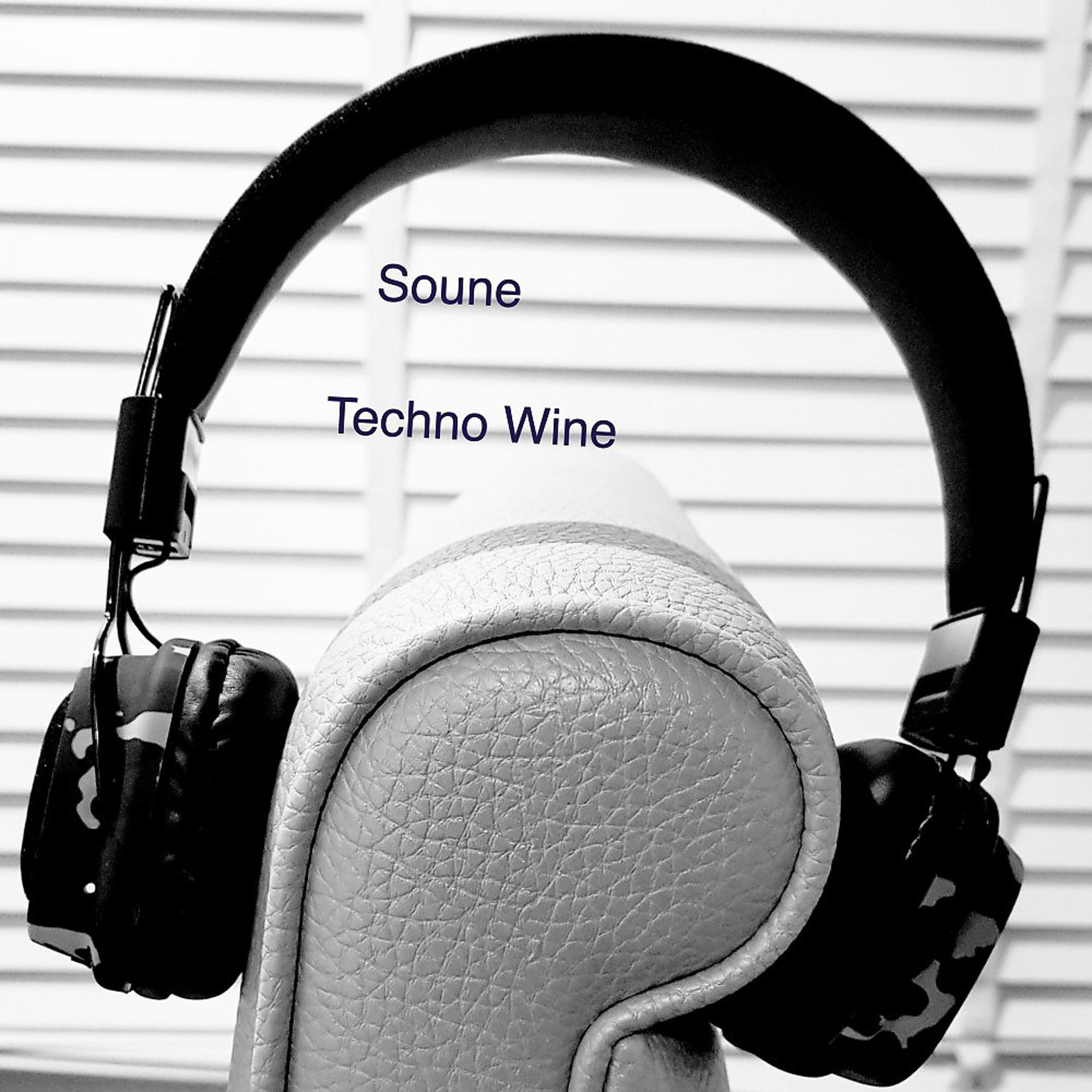 Постер альбома Techno Wine