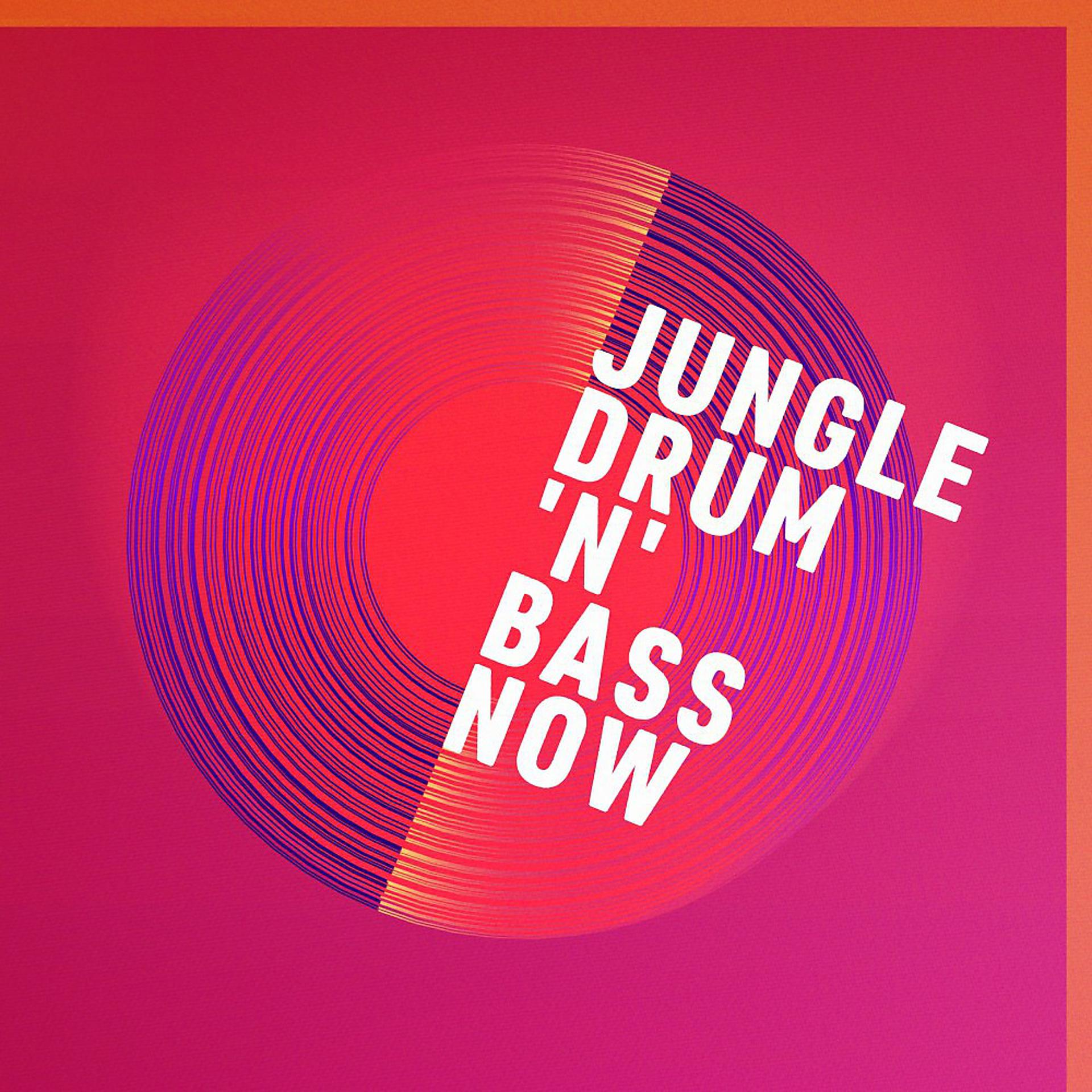 Постер альбома Jungle, Drum 'n' Bass Now