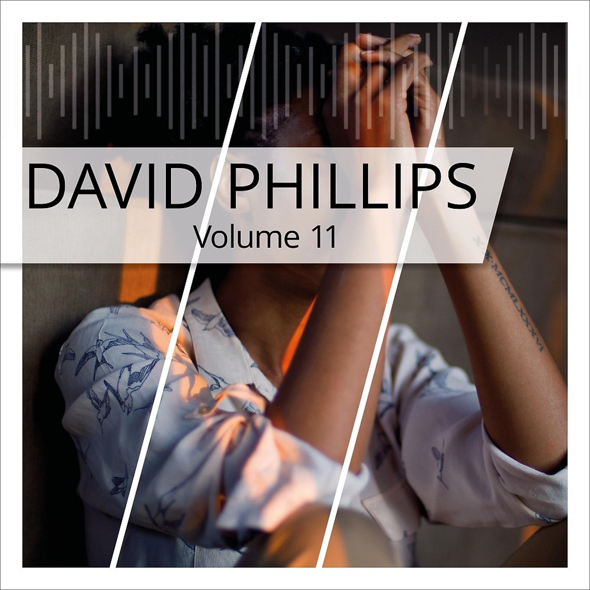 Постер альбома David Phillips, Vol. 11