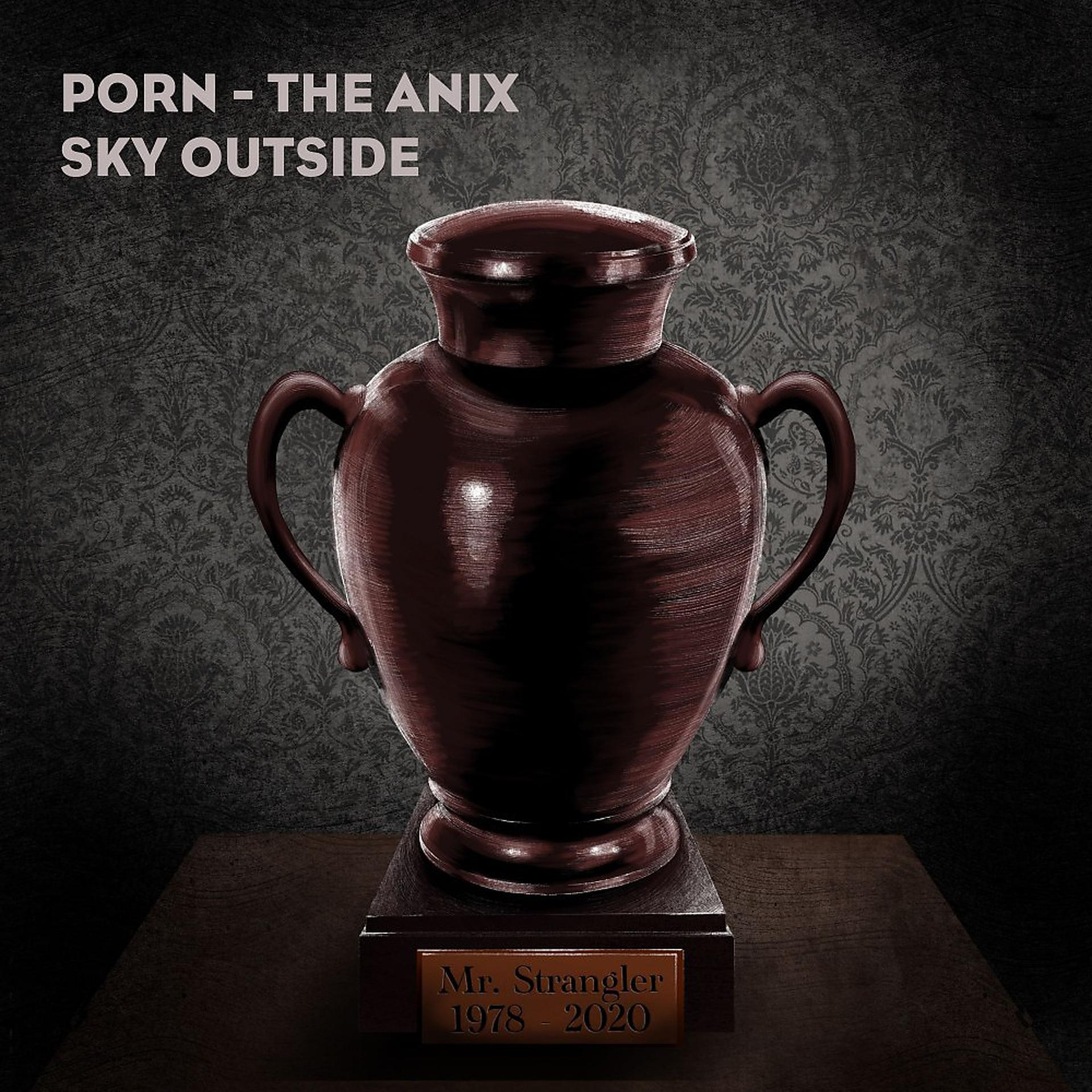 Постер альбома Sky Outside (The Anix Remix)