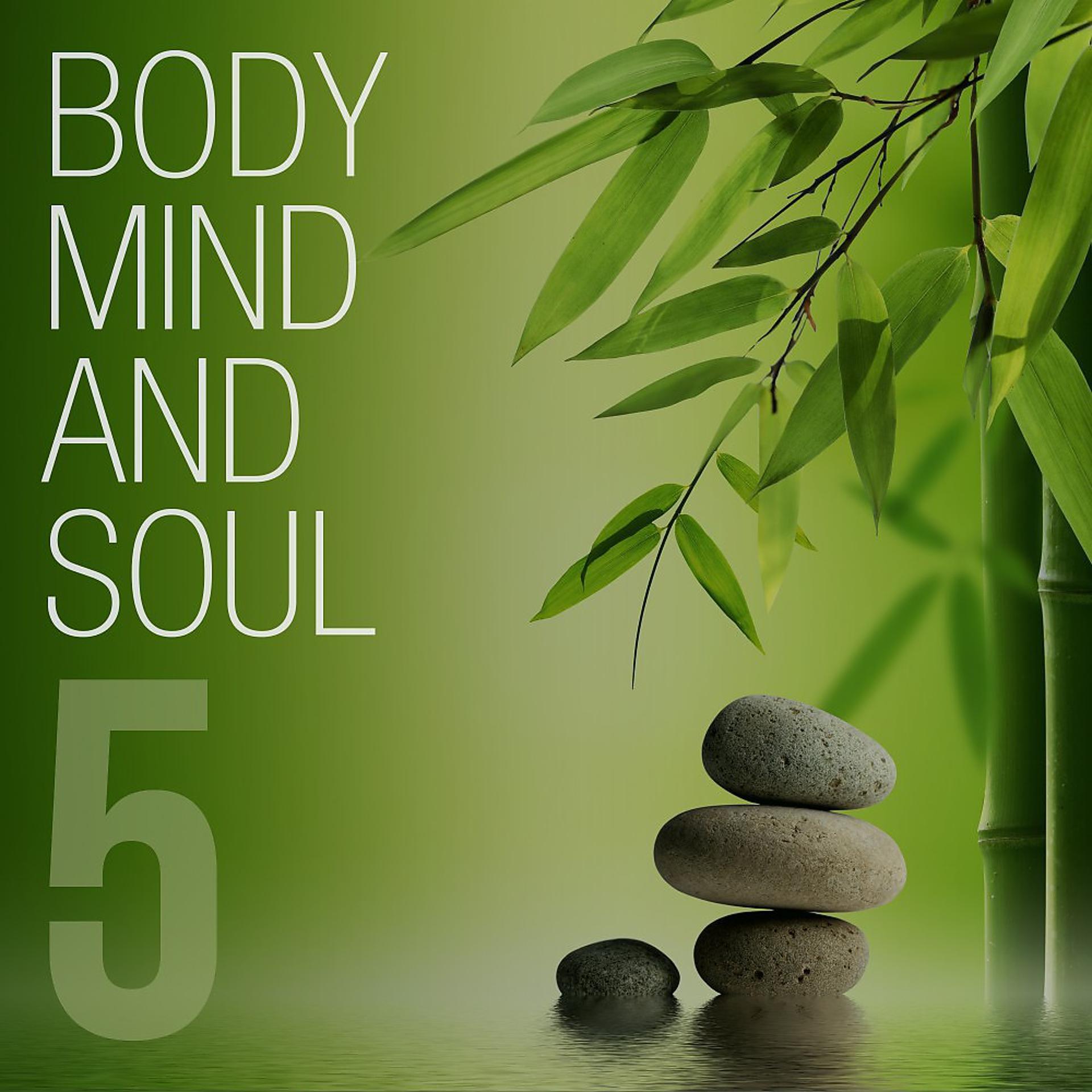 Постер альбома Body Mind and Soul, Vol. 5