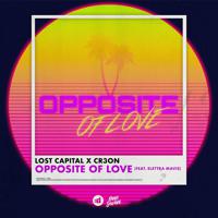 Постер альбома Opposite Of Love