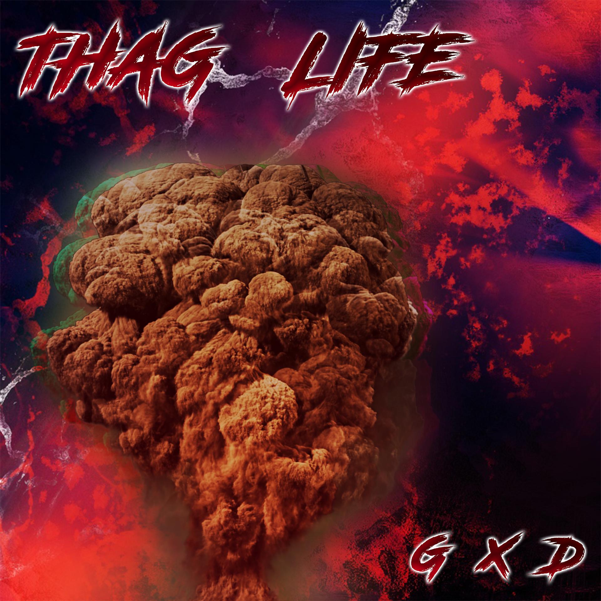 Постер альбома Thag Life