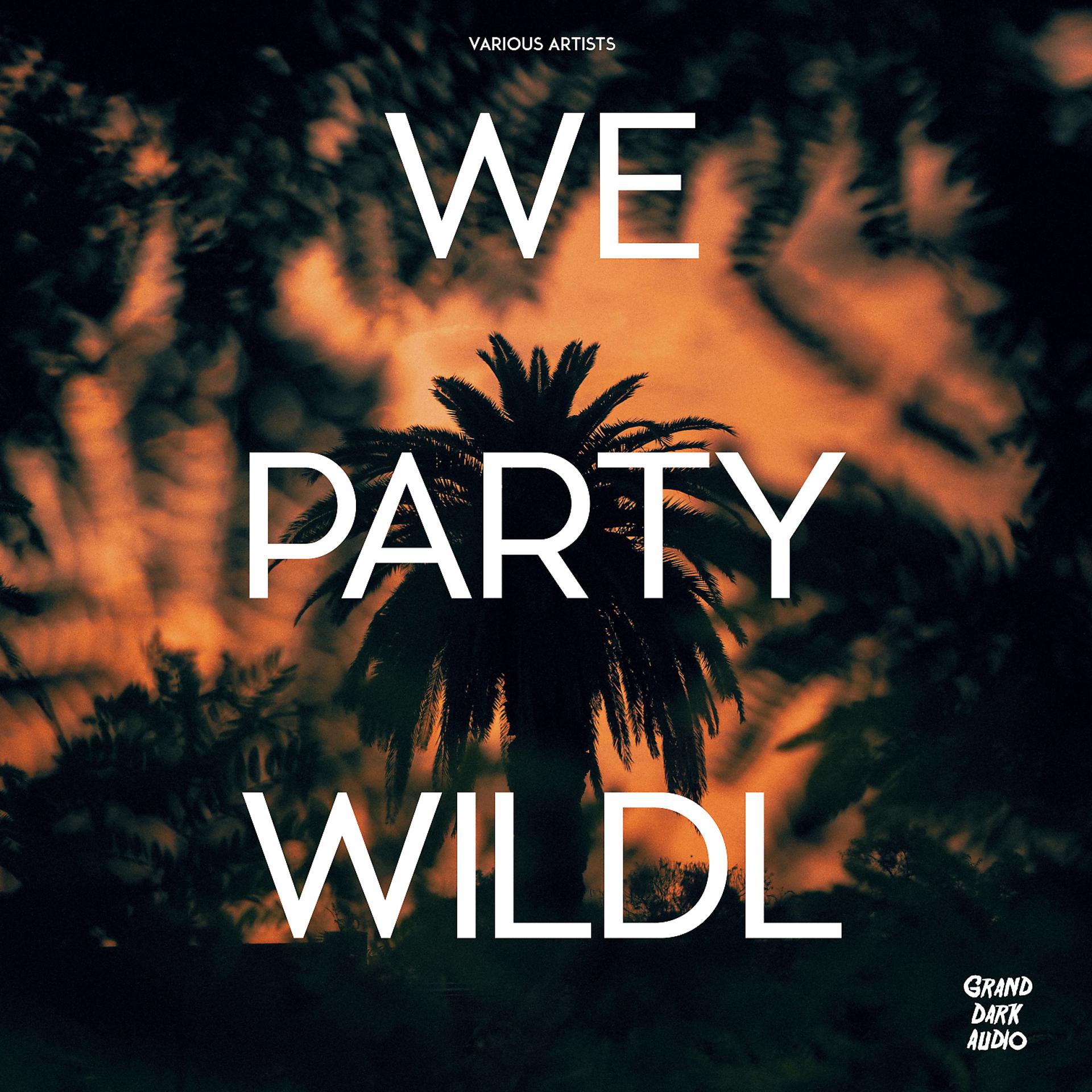 Постер альбома We Party Wildl