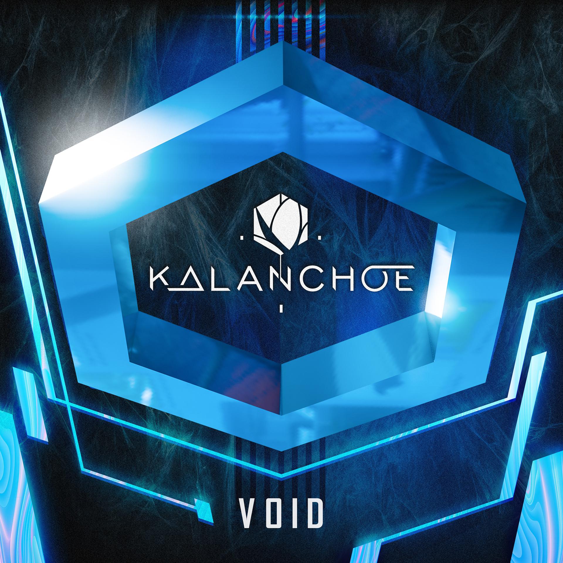 Постер к треку Kalanchoe - VOID
