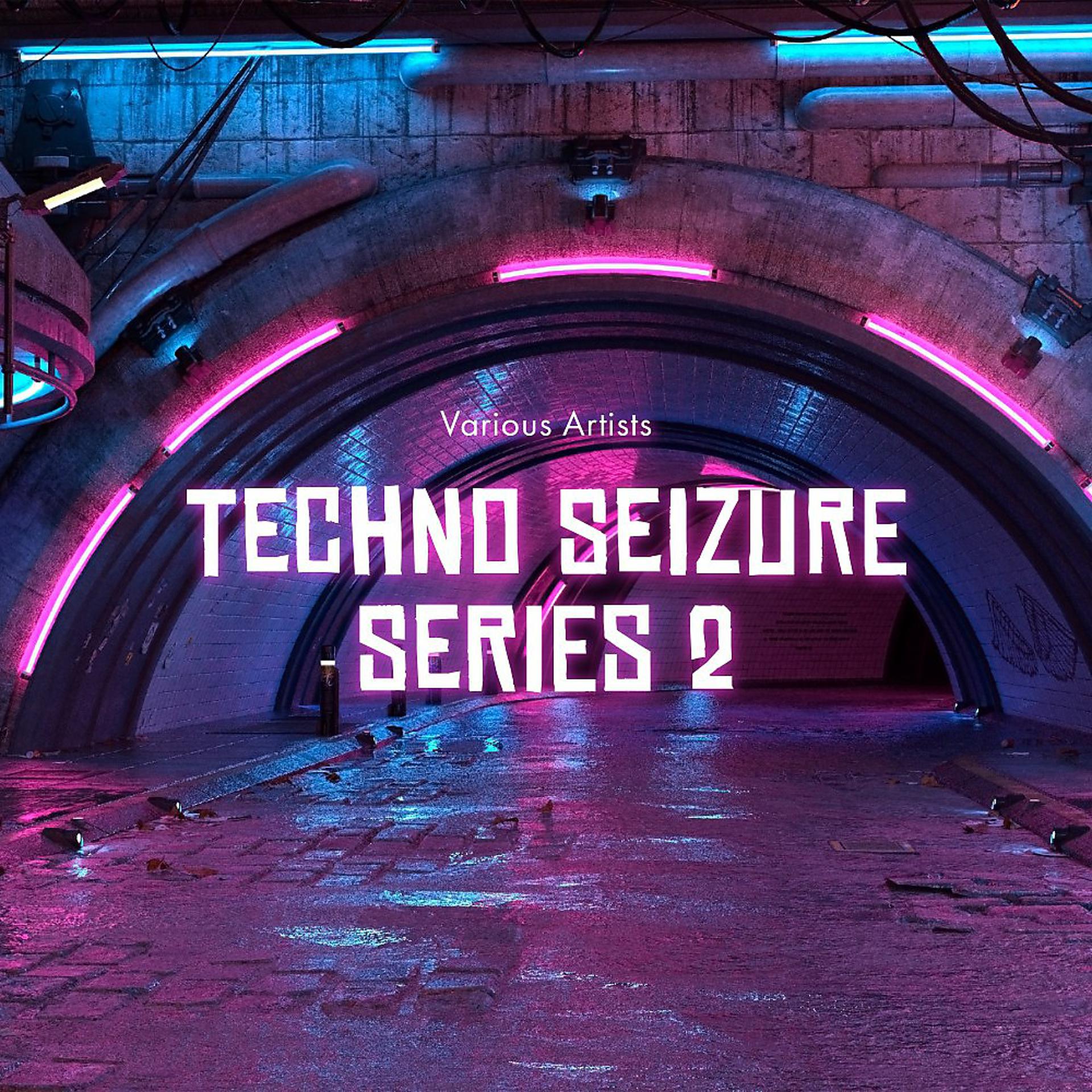 Постер альбома Techno Seizure Series 2