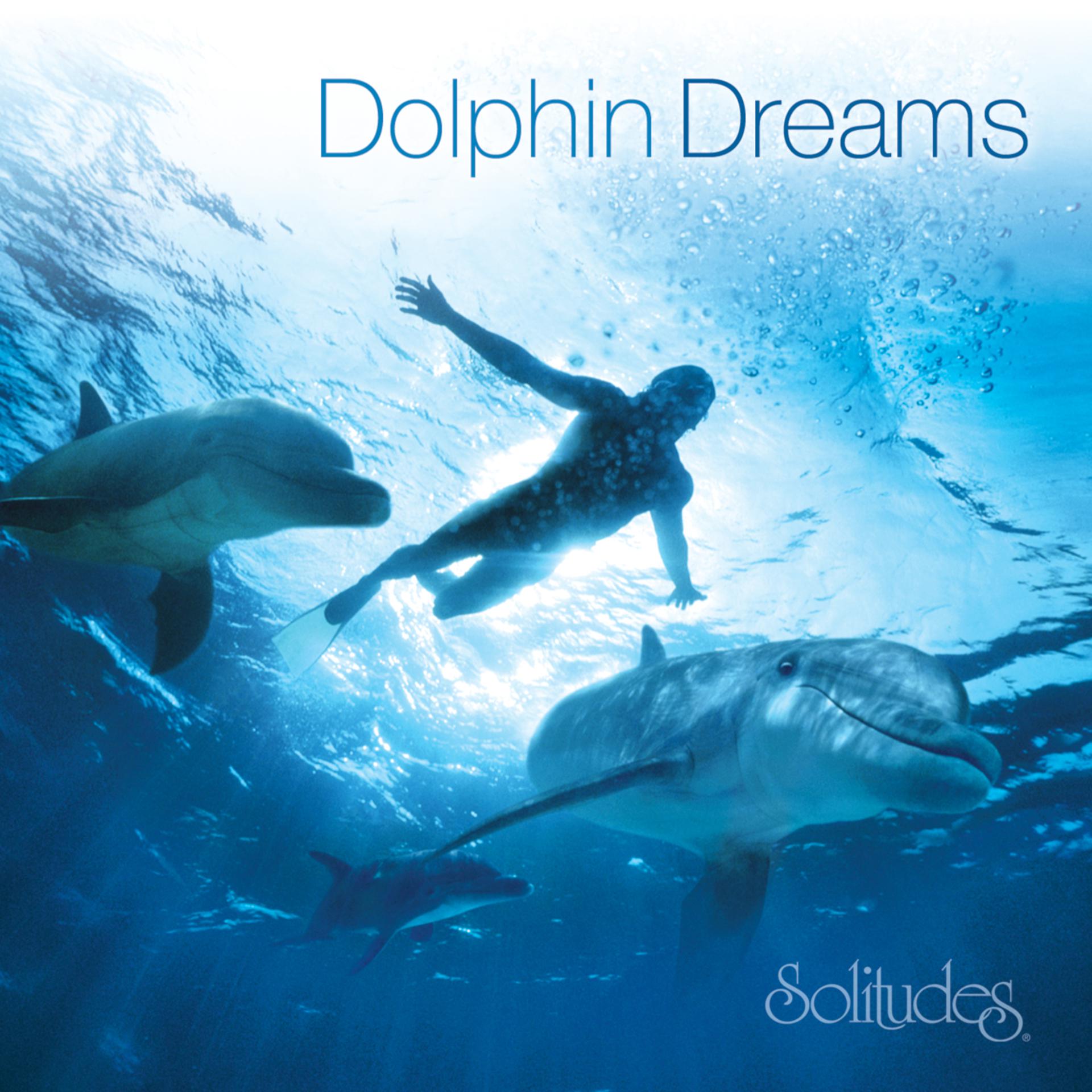 Постер альбома Dolphin Dreams