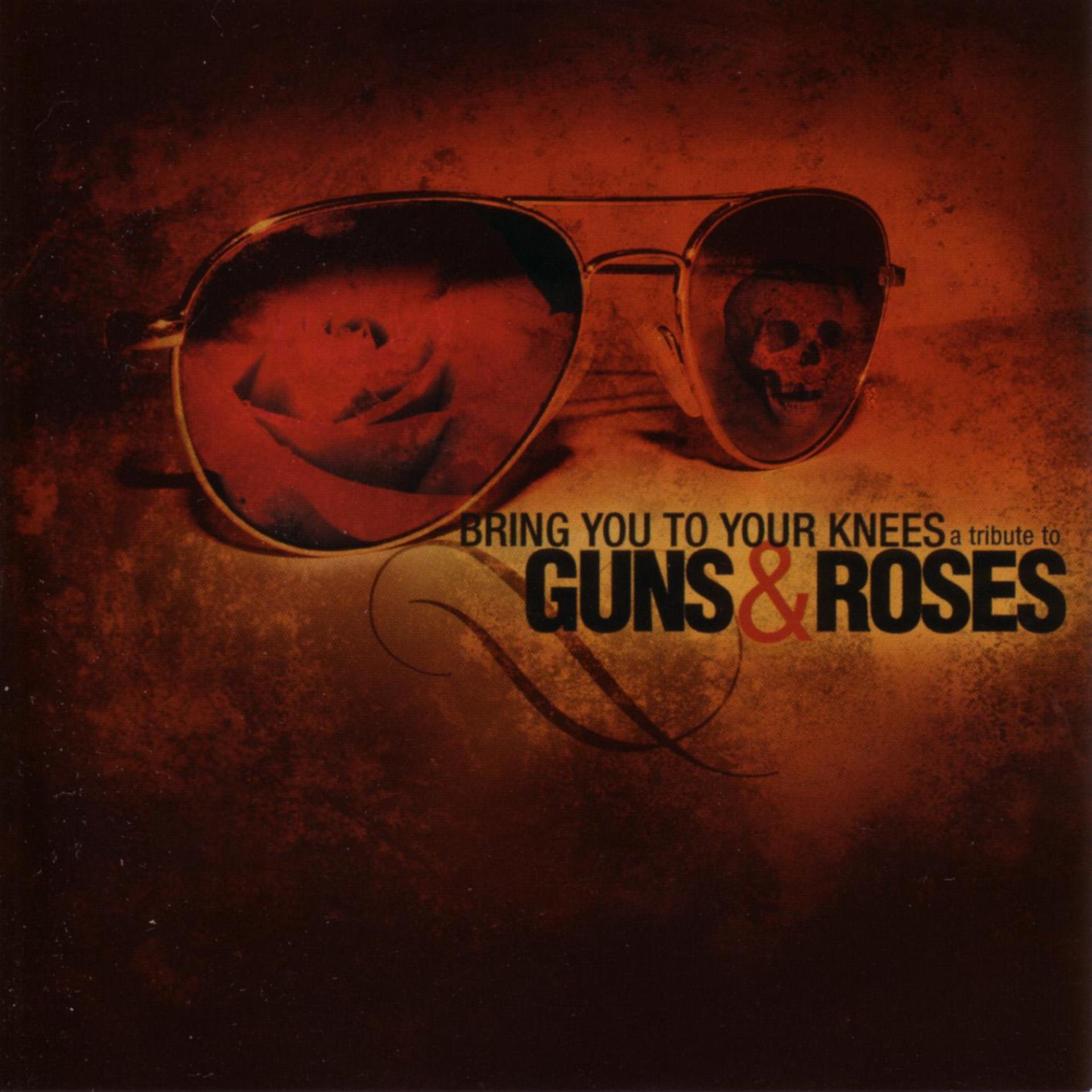 Постер альбома Bring You to Your Knees: a Tribute to Guns 'n Roses