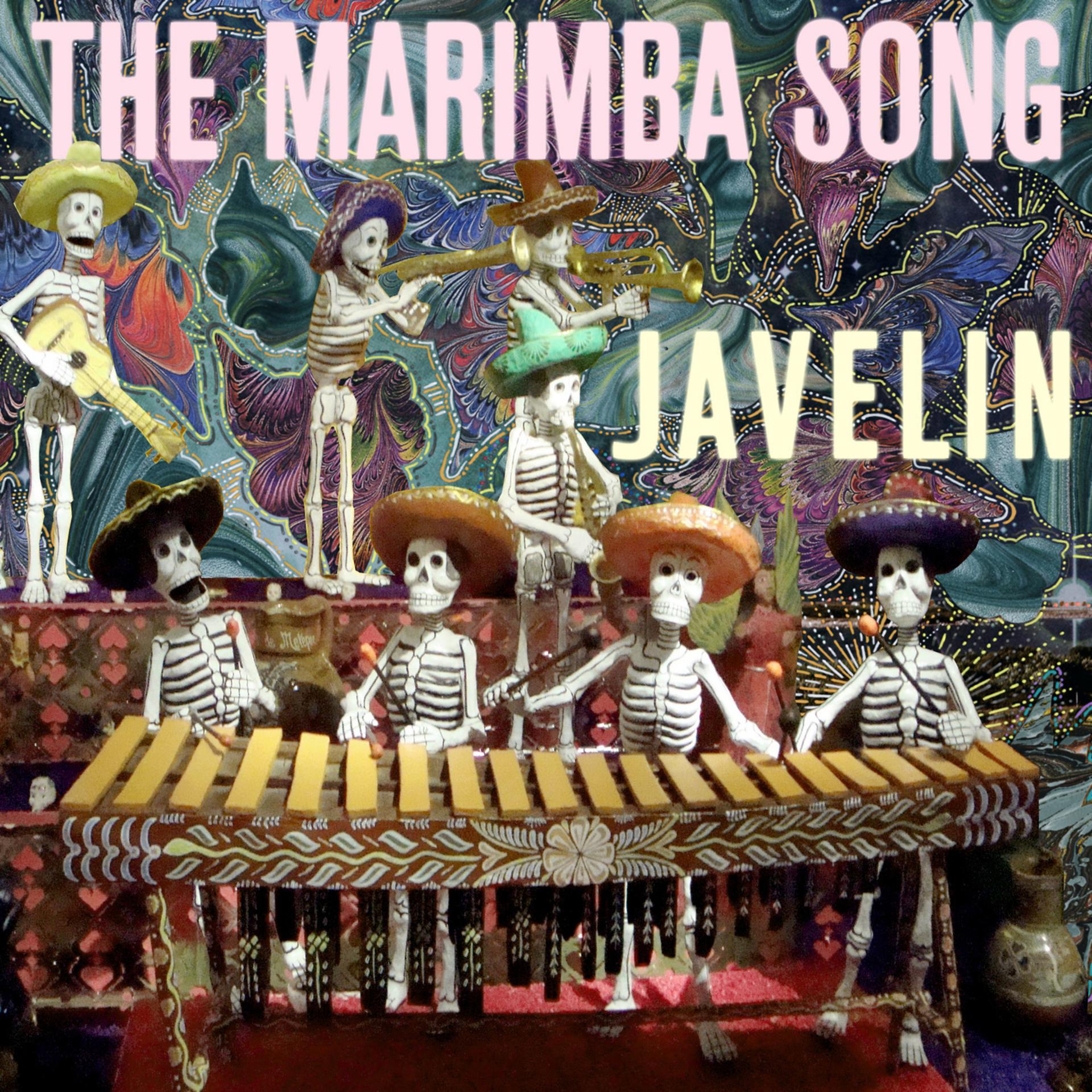 Постер альбома The Marimba Song!