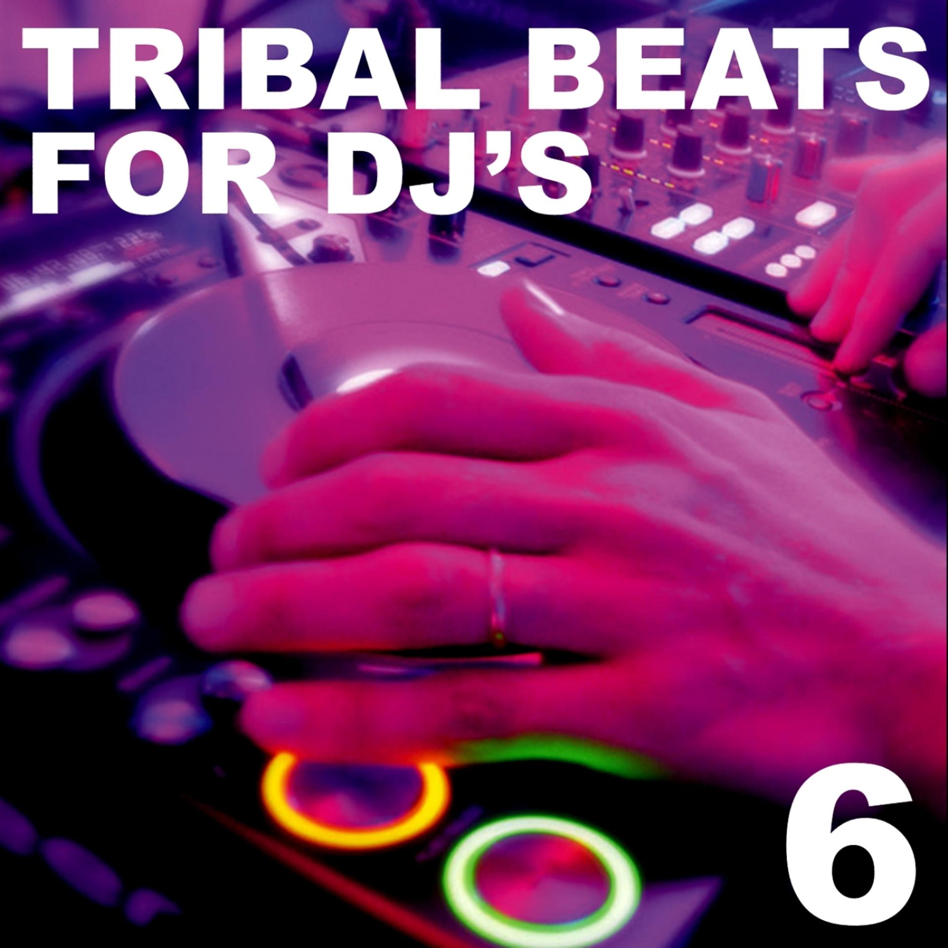 Постер альбома Tribal Beats for DJ's - Vol. 6