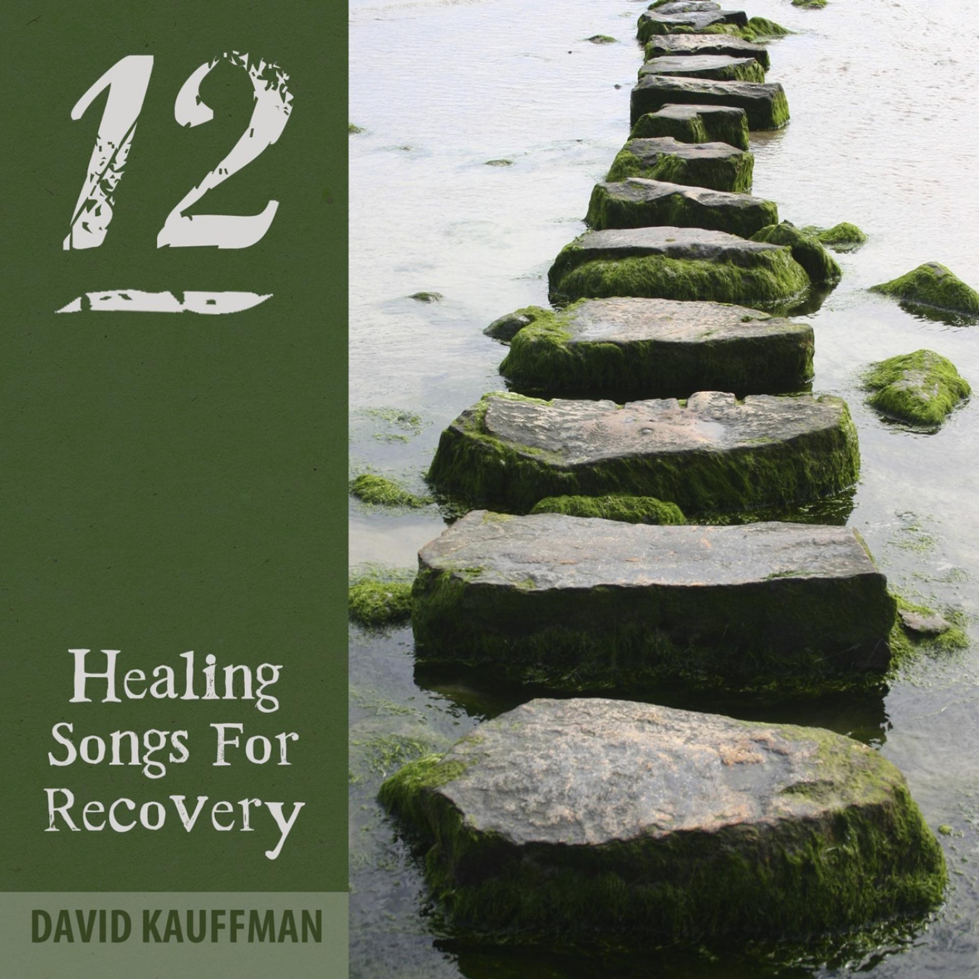Постер альбома Twelve Step Healing Songs for Recovery