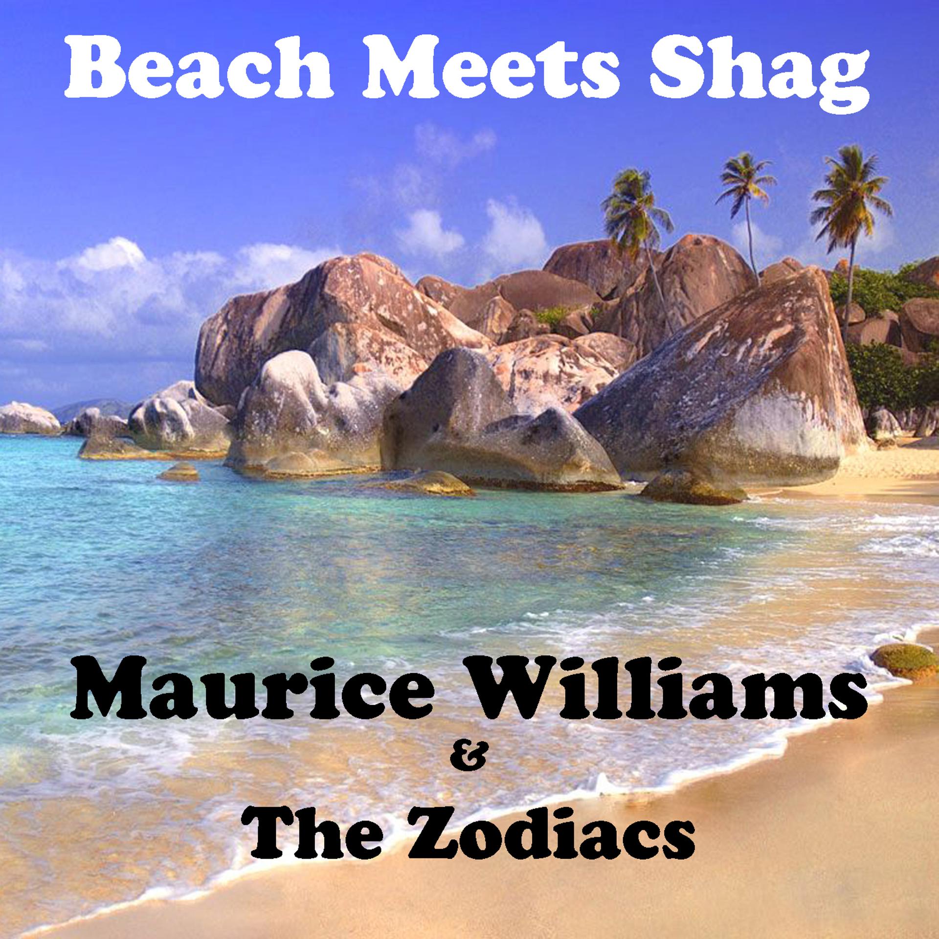 Постер альбома Beach Meets Shag