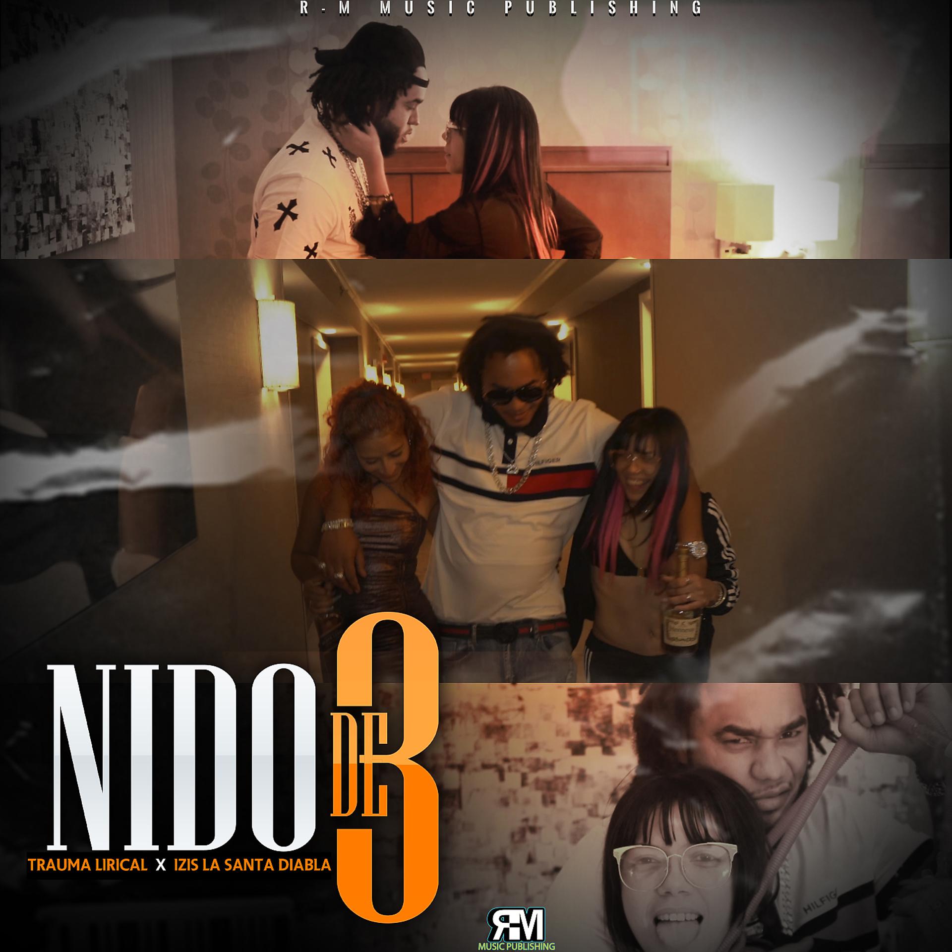 Постер альбома Nido De 3