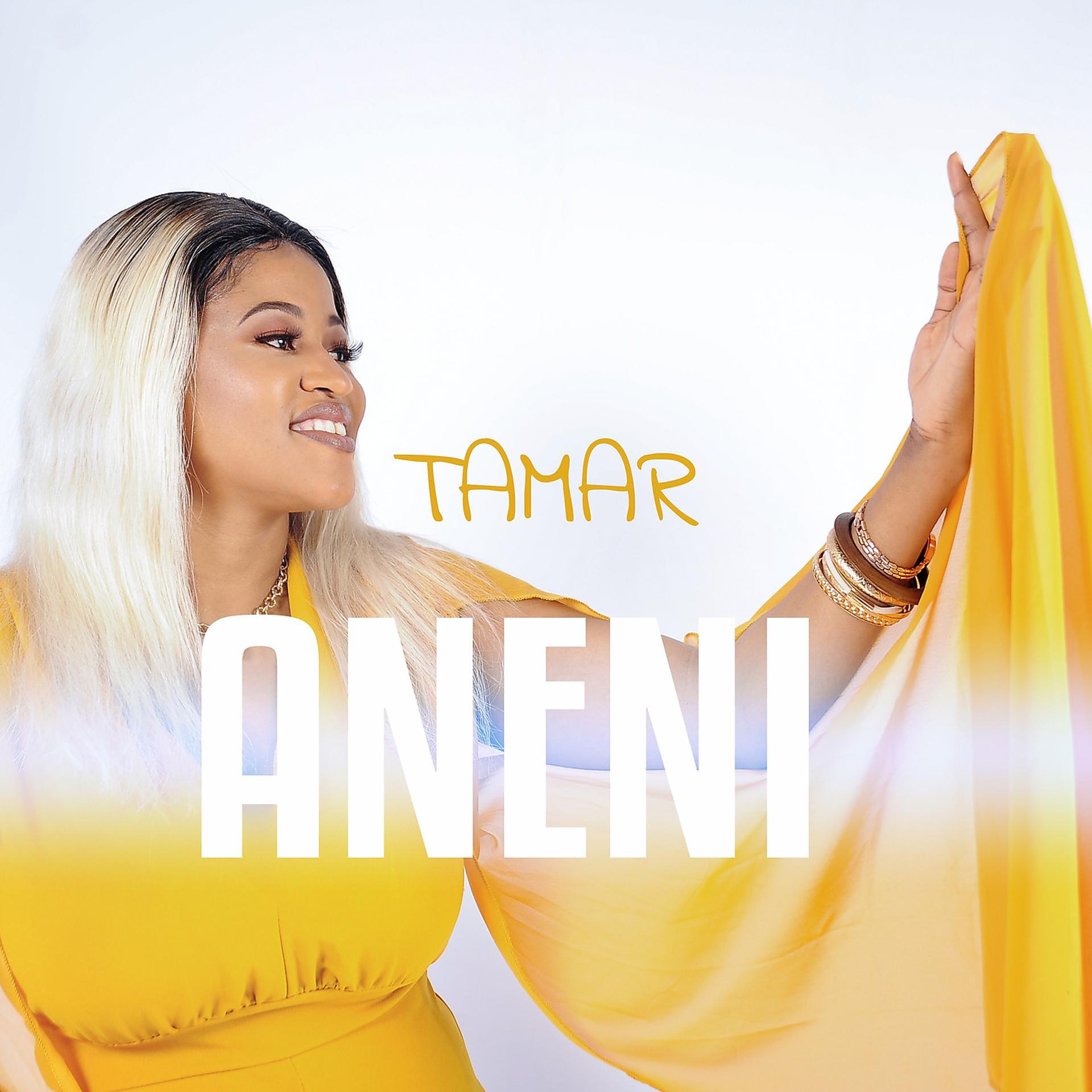 Постер альбома Aneni