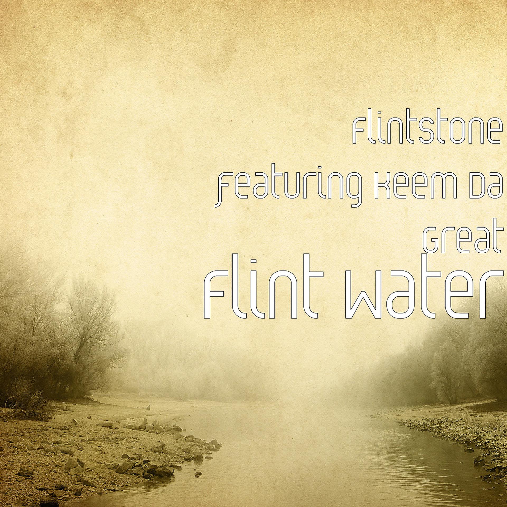 Постер альбома Flint Water