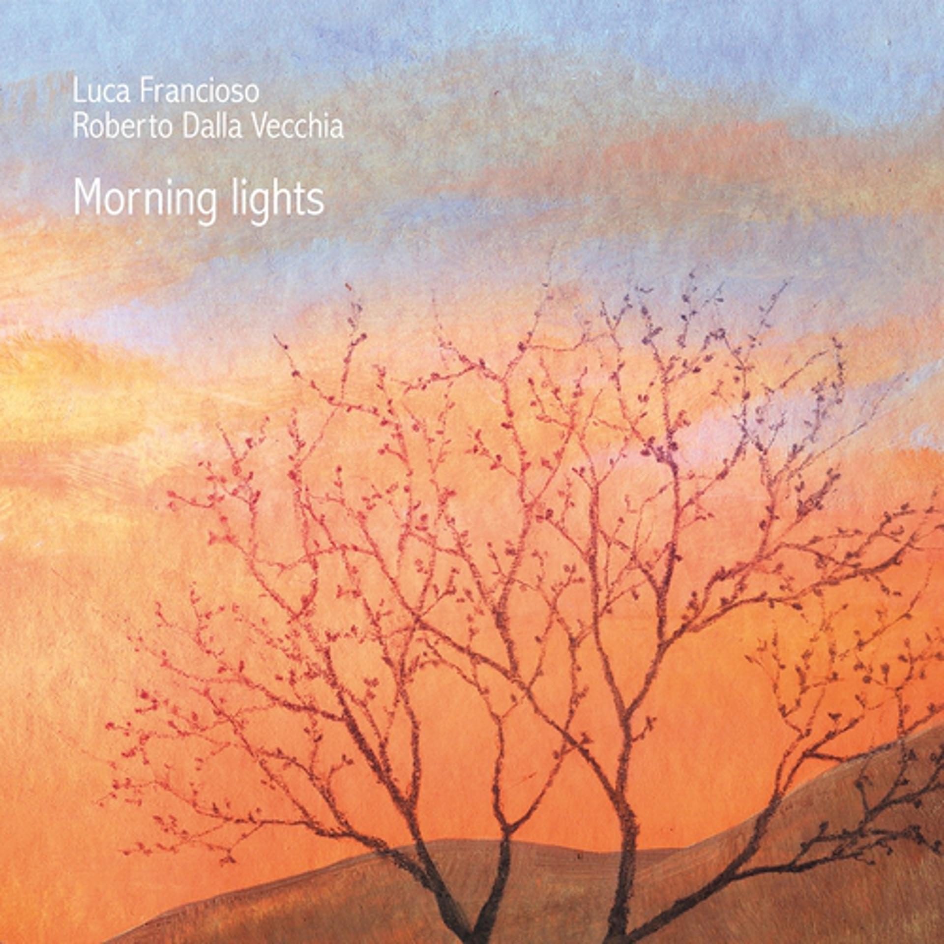 Постер альбома Morning Lights