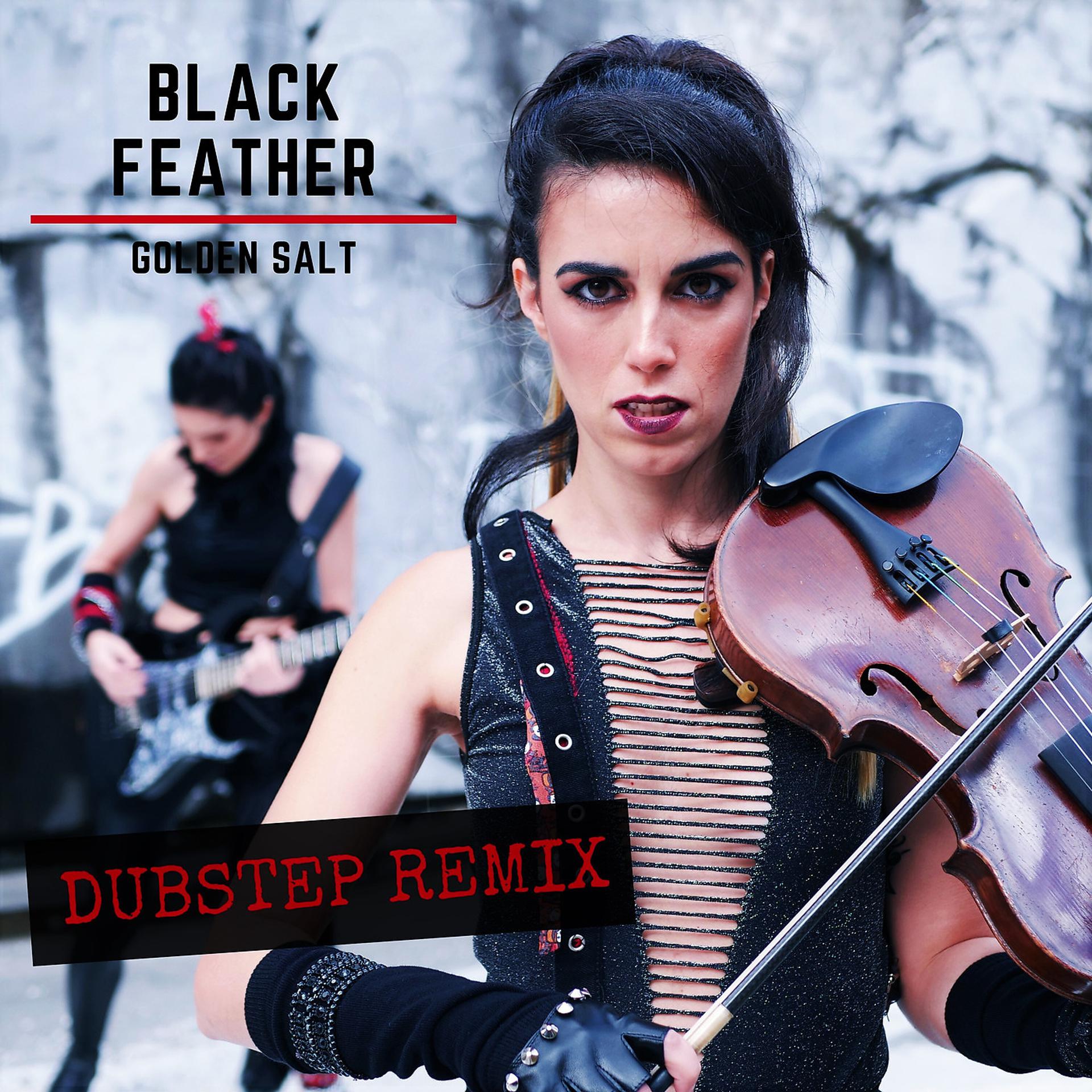Постер альбома Black Feather (Dubstep Remix)