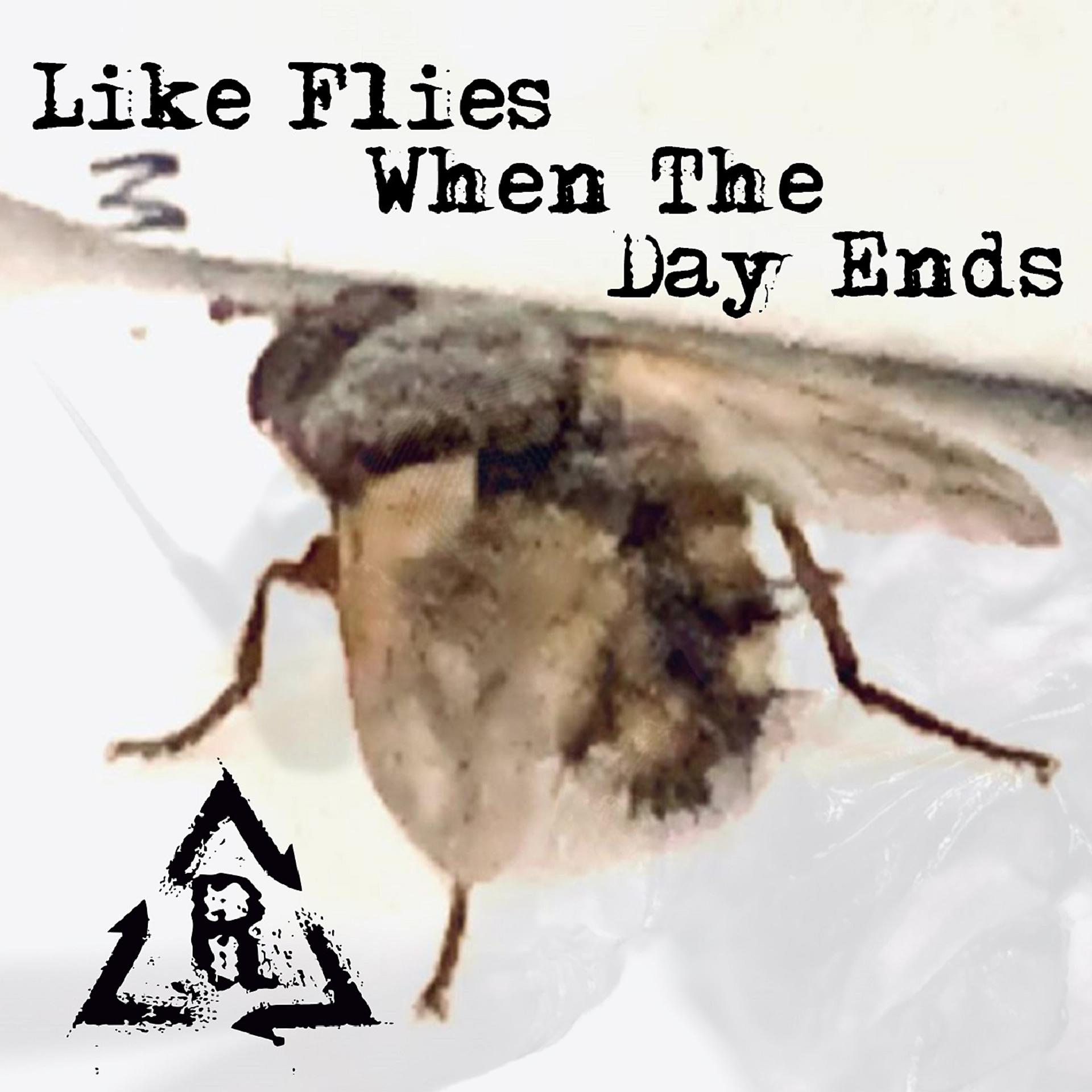 Постер альбома Like Flies When the Day Ends