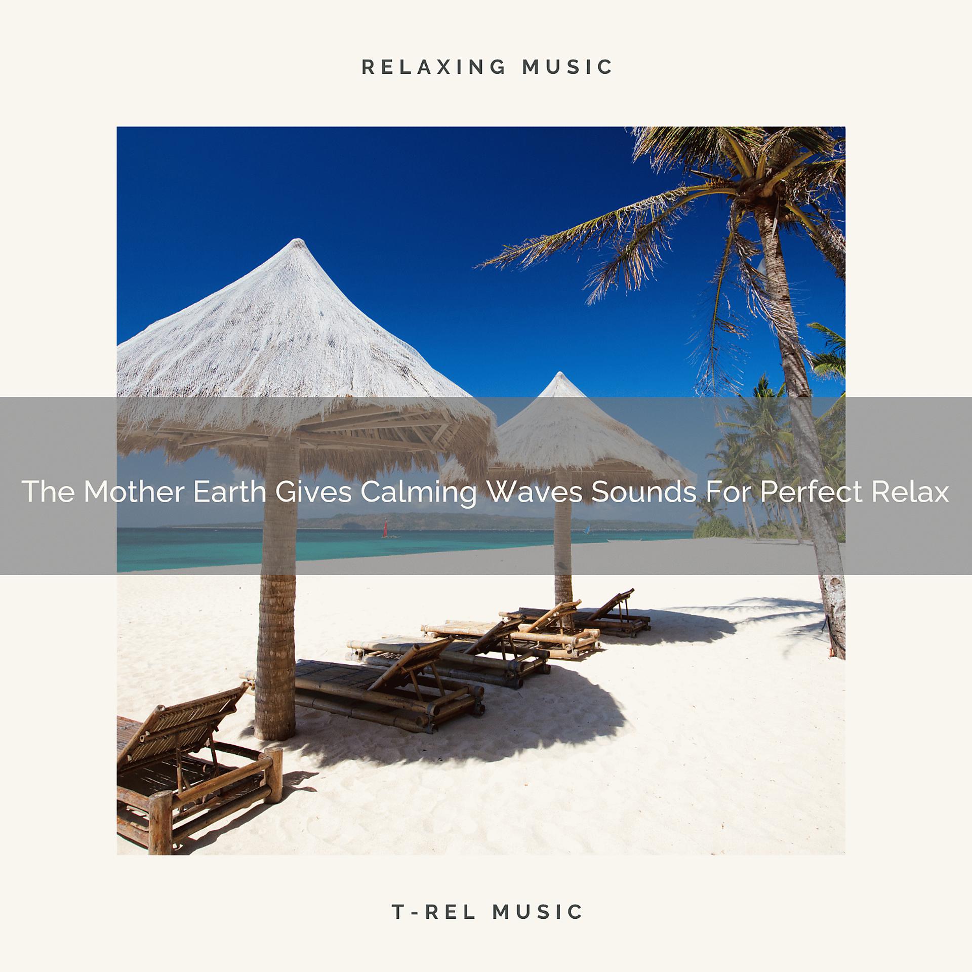Постер альбома The Mother Earth Gives Calming Waves Sounds For Perfect Relax