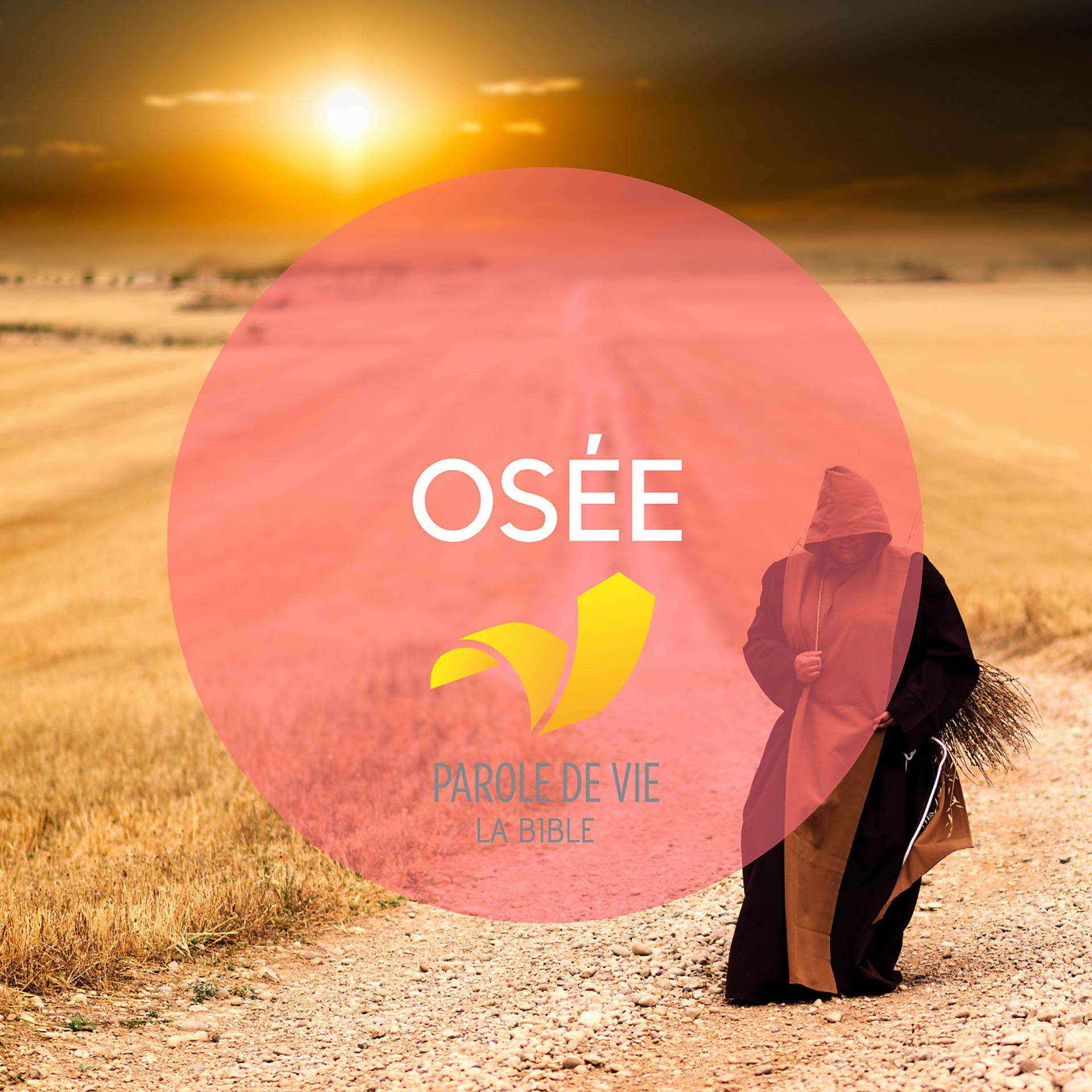 Постер альбома Osée