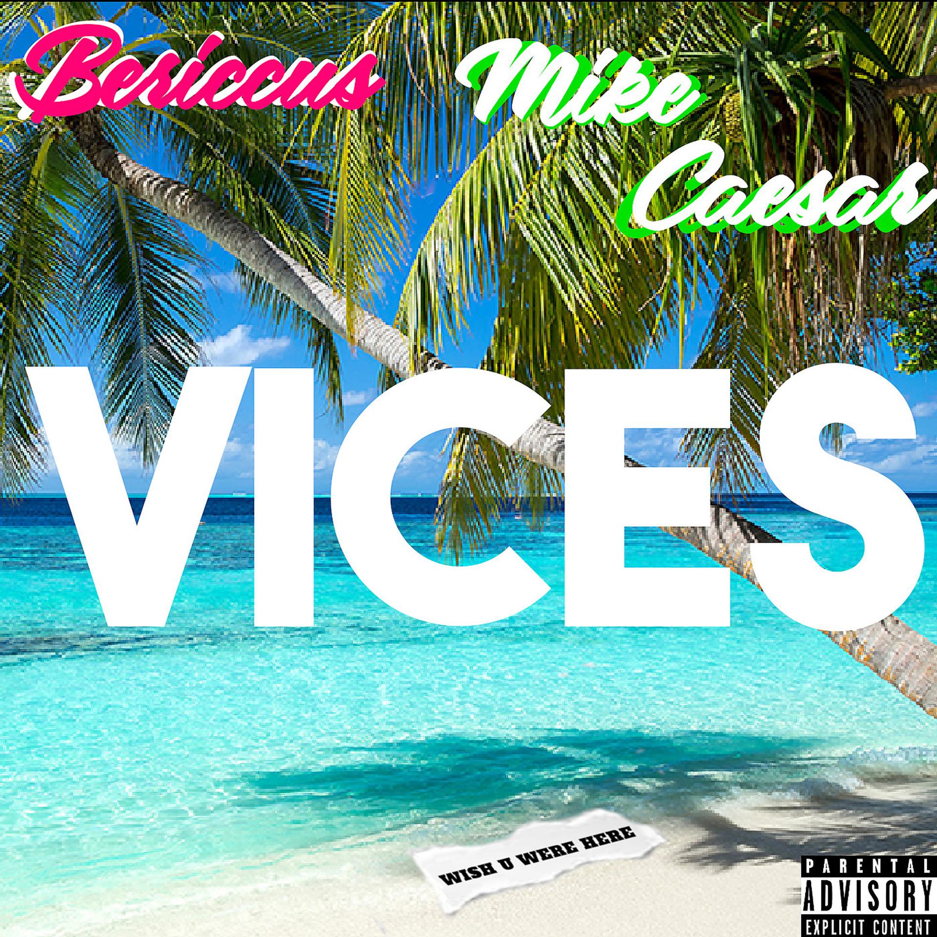 Постер альбома Vices