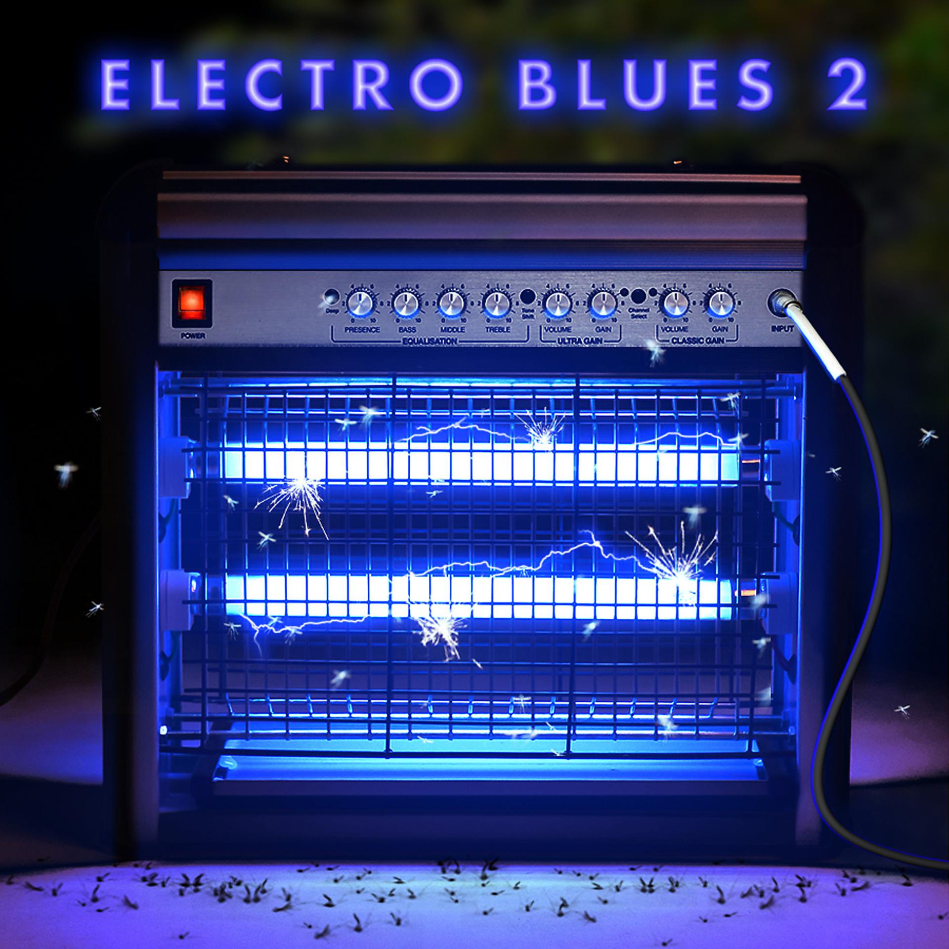 Постер альбома Electro Blues 2