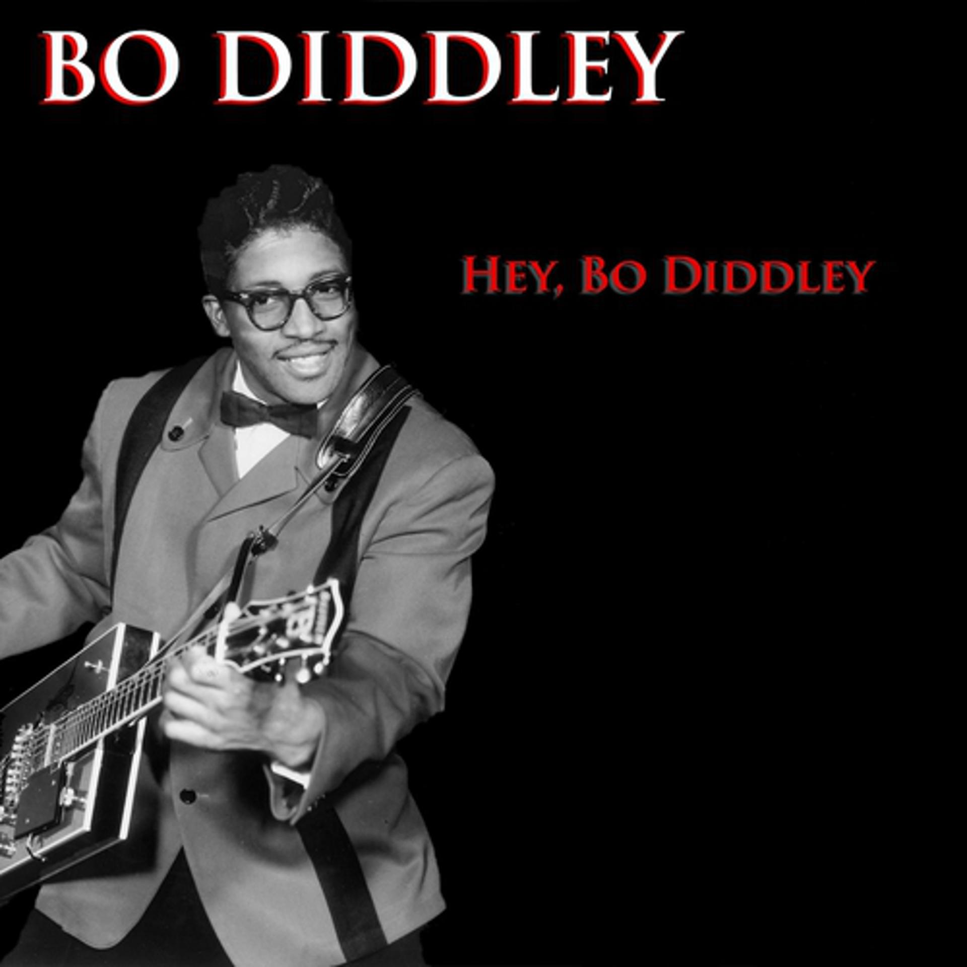 Постер альбома Bo Diddley / Hey Bo Diddley