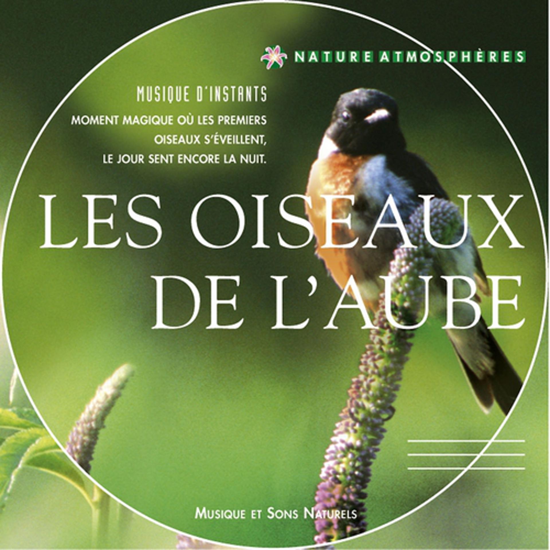 Постер альбома Nature atmosphères : les oiseaux de l'aube