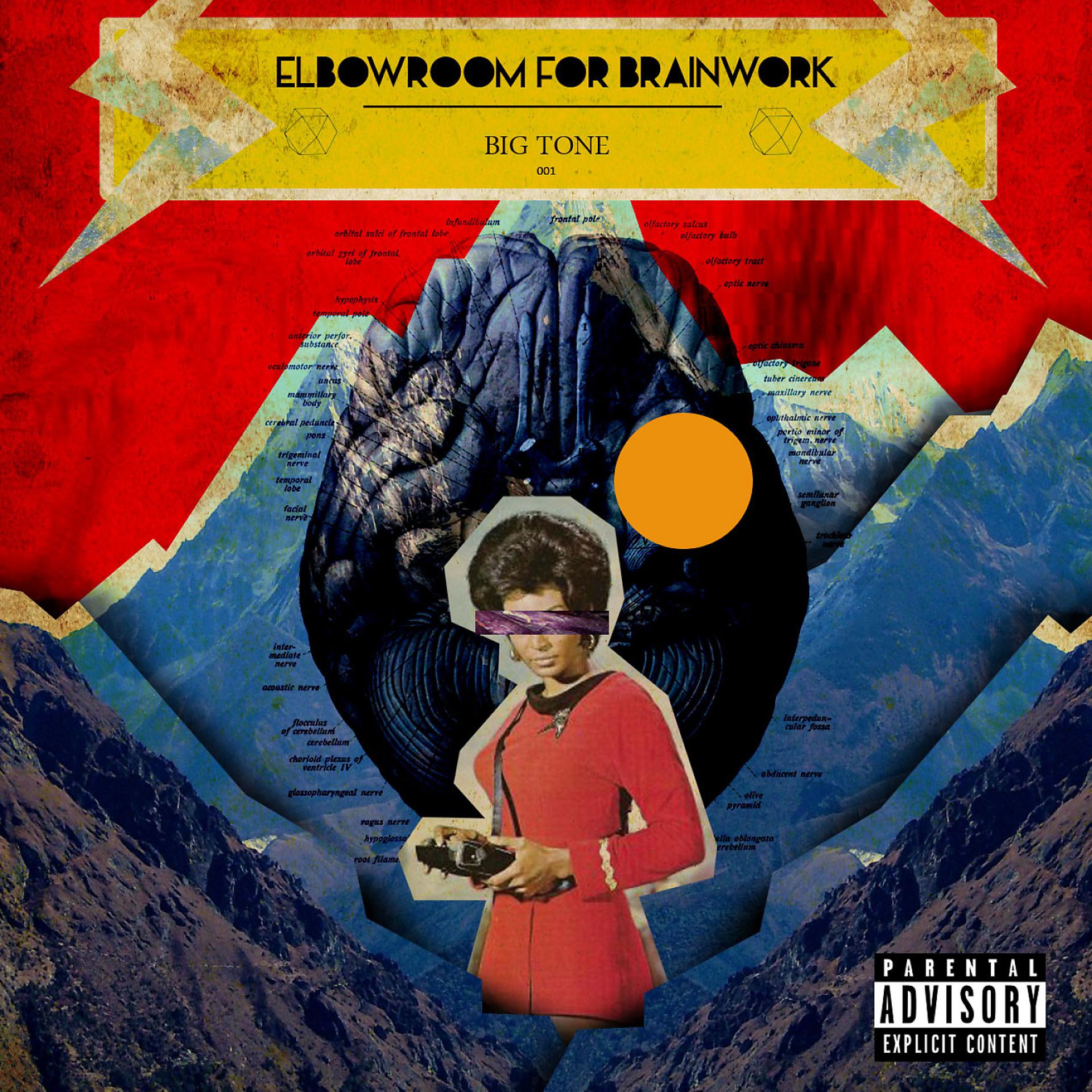Постер альбома Elbowroom For Brainwork