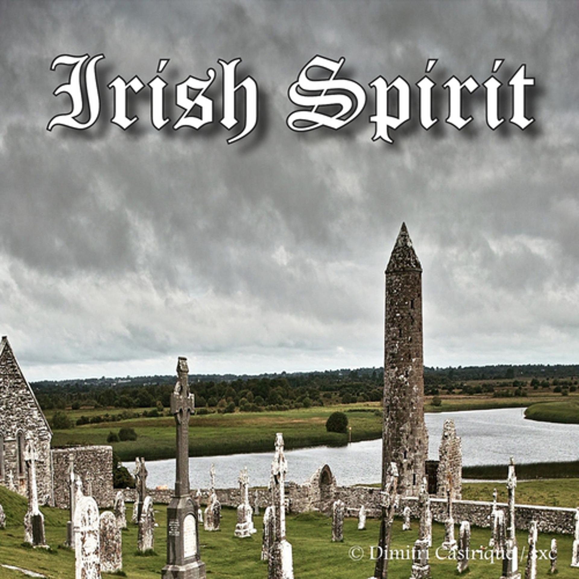 Постер альбома Irish Spirit