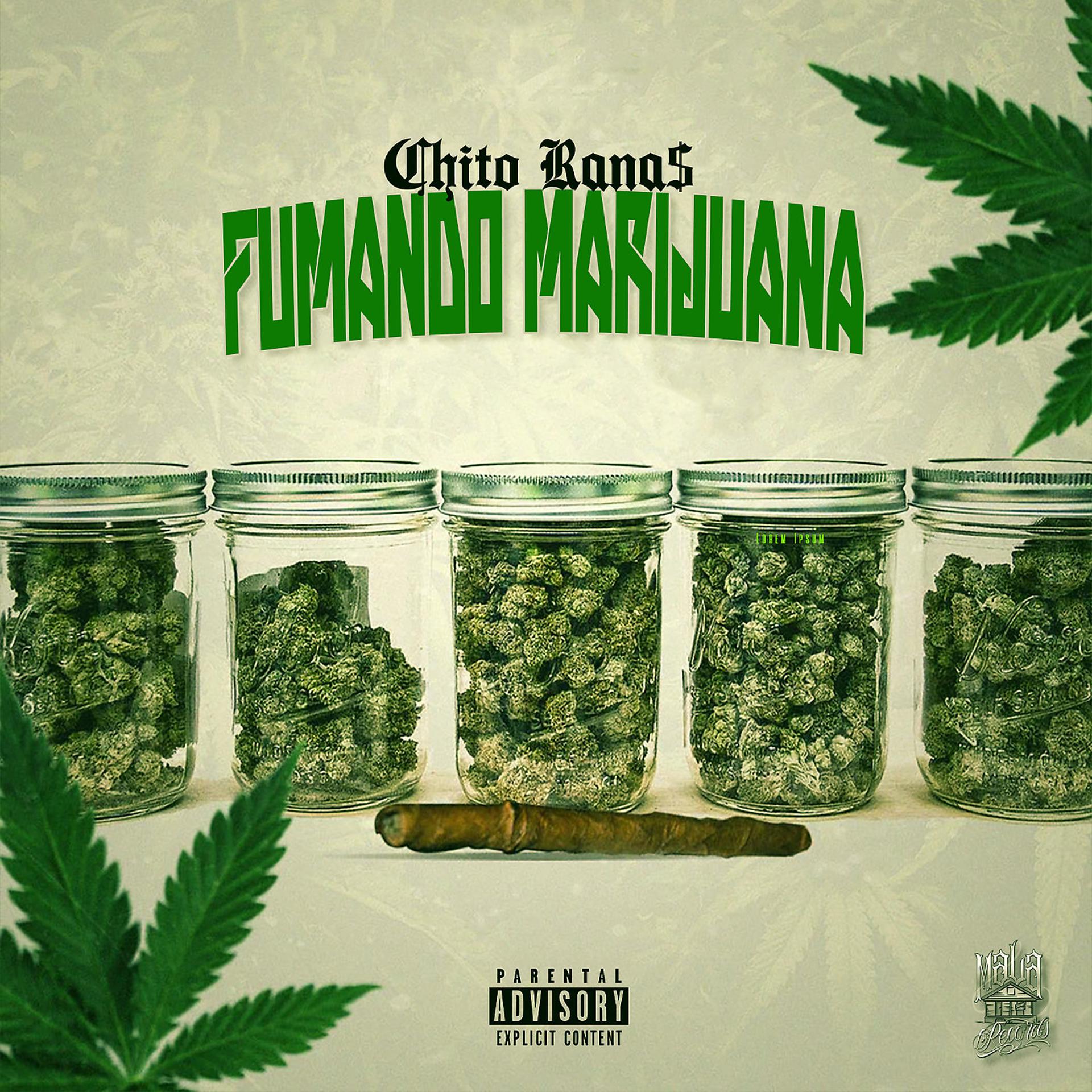 Постер альбома Fumando Marijuana