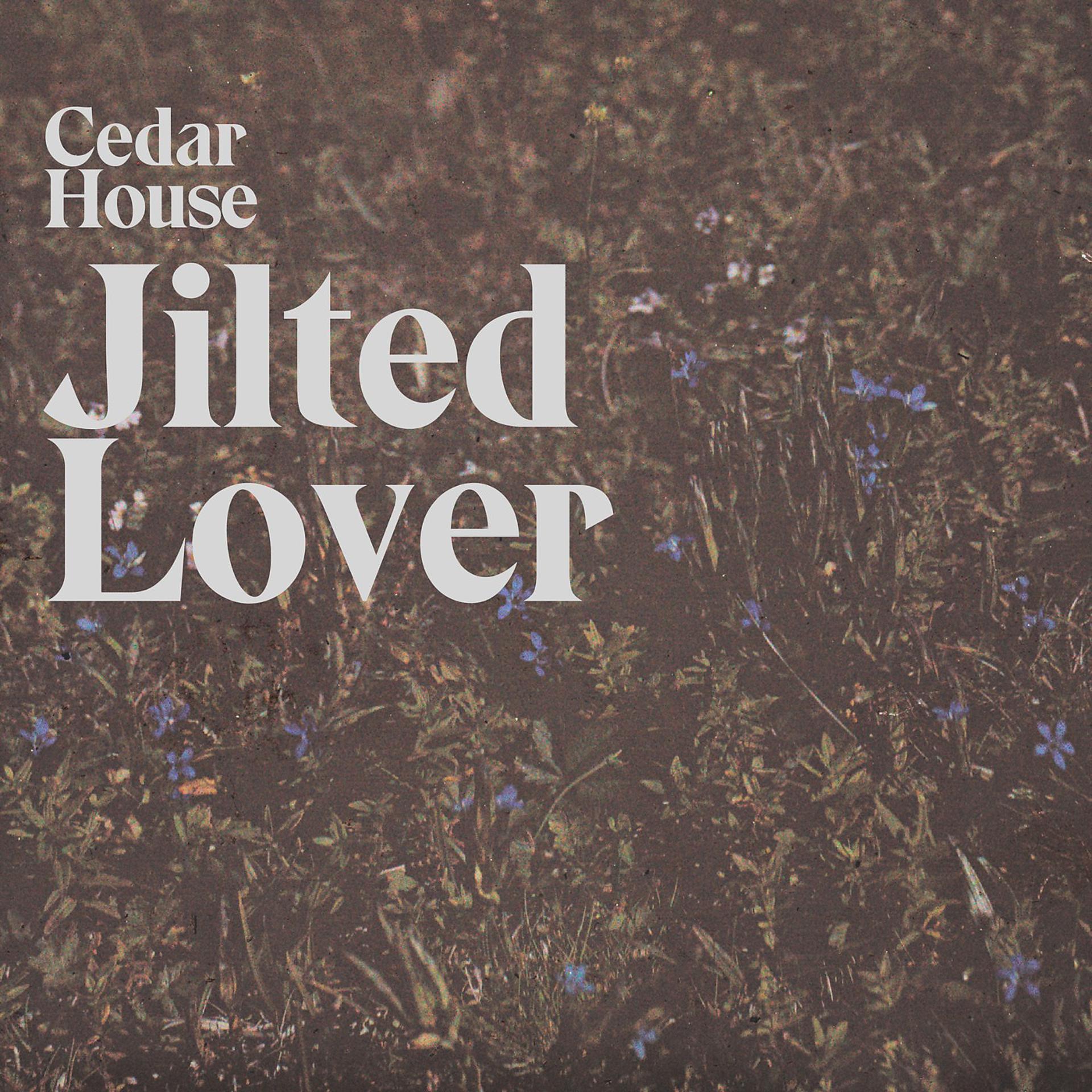 Постер альбома Jilted Lover