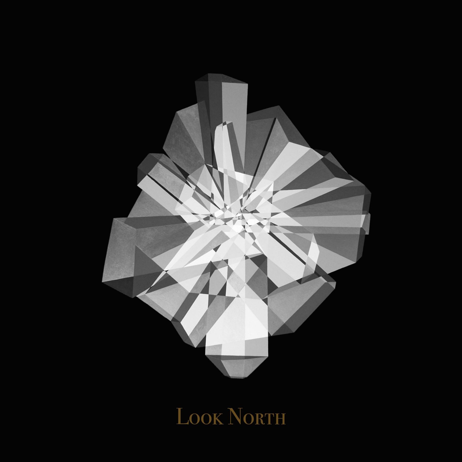 Постер альбома Look North