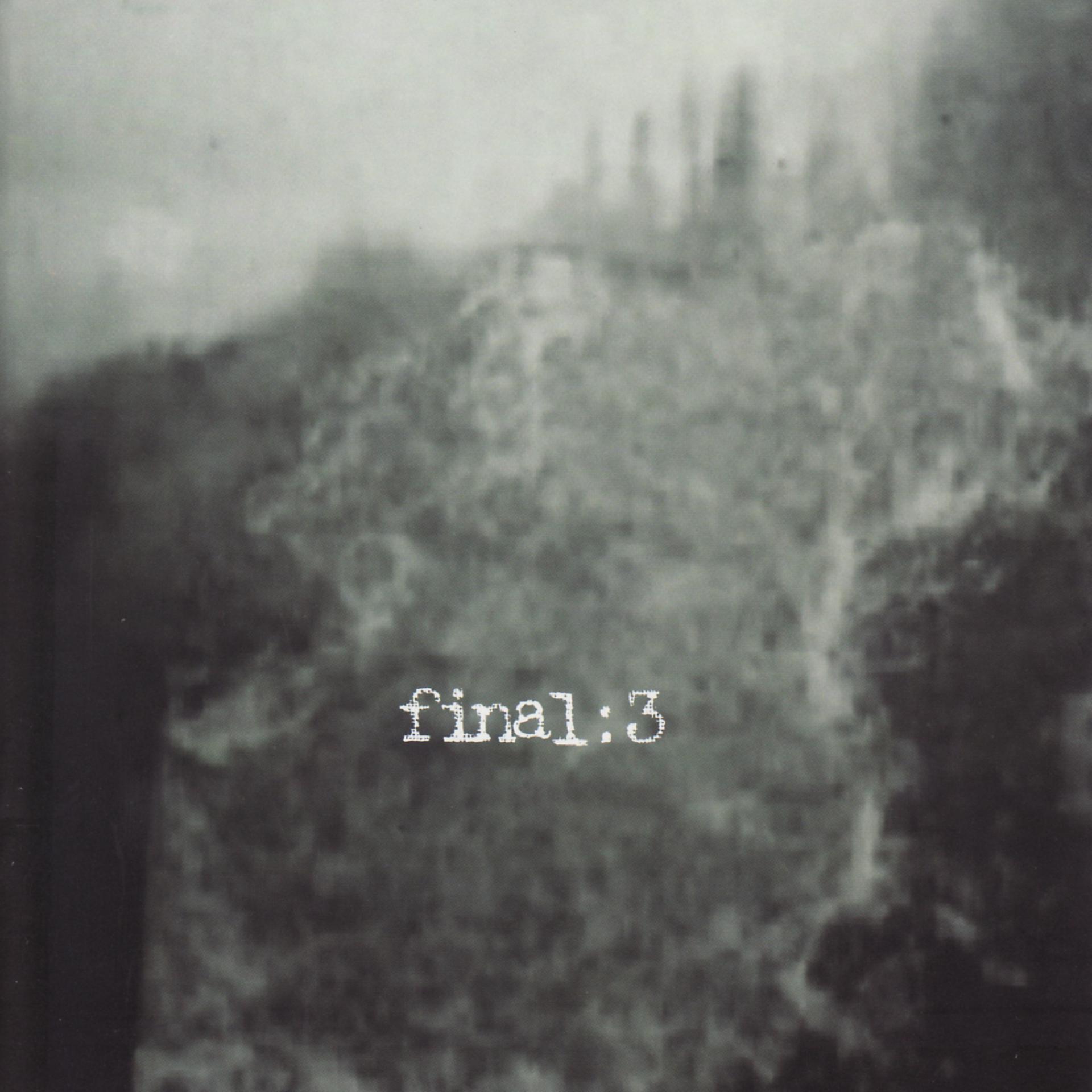 Постер альбома Final: 3