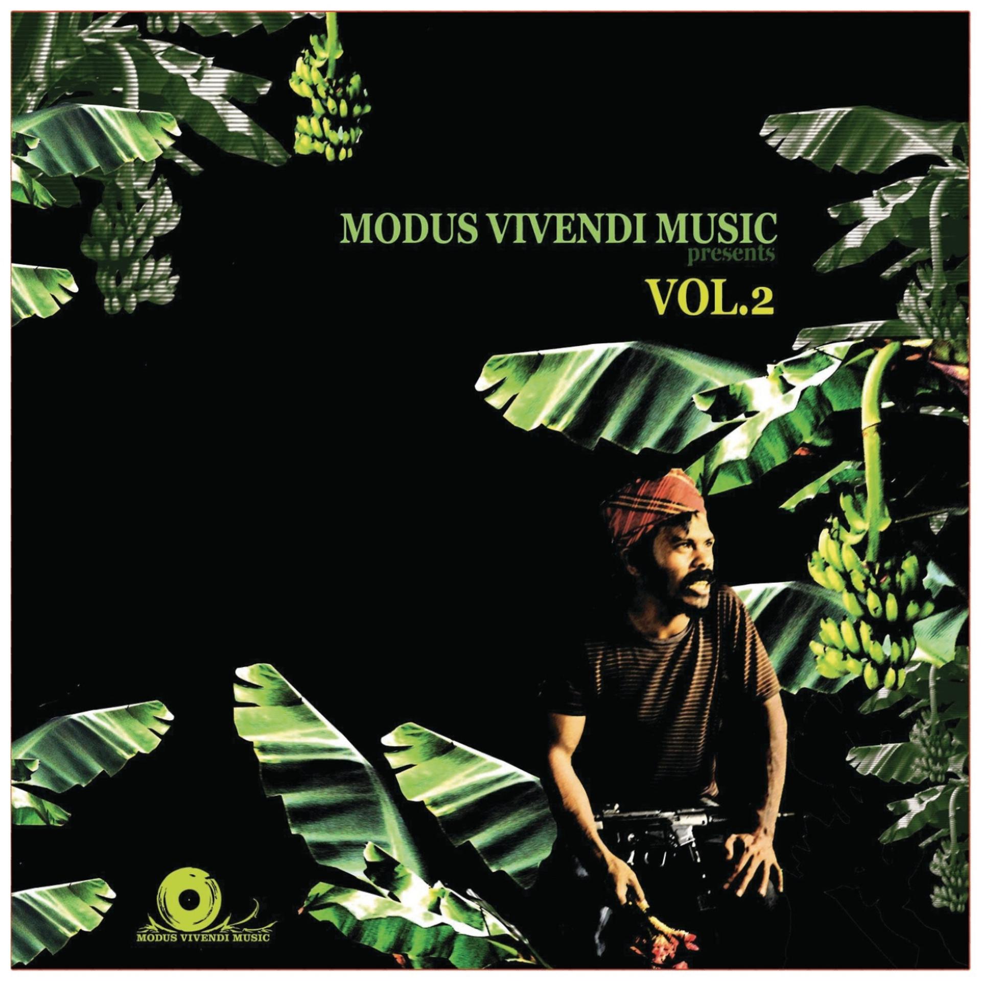Постер альбома Modus Vivendi Music Vol. 2