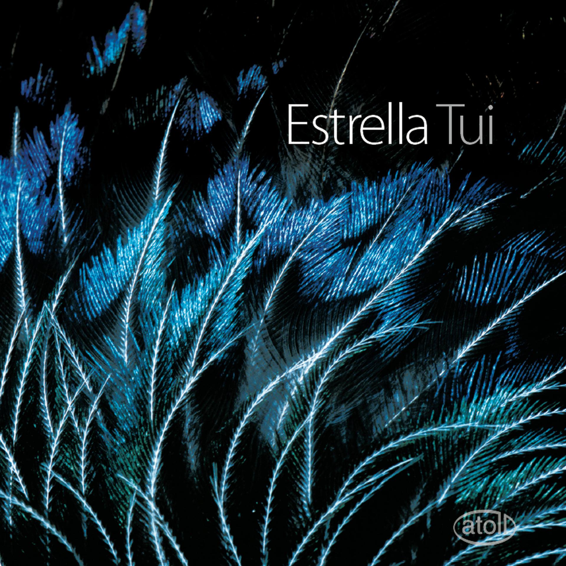 Постер альбома Estrella Tui