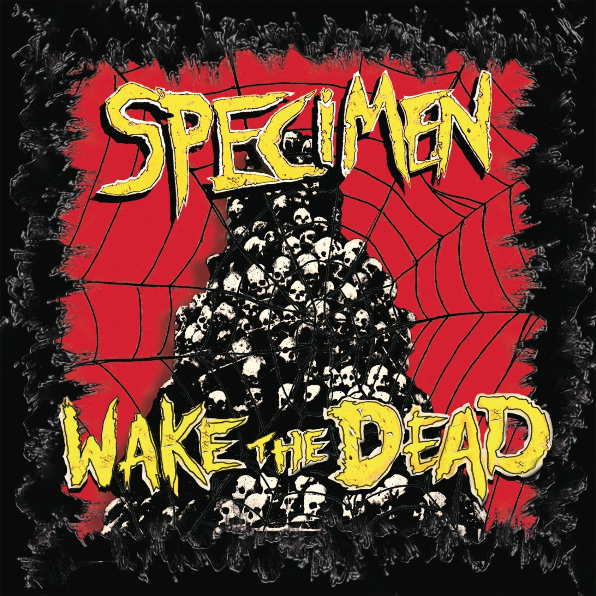 Постер альбома Wake the Dead