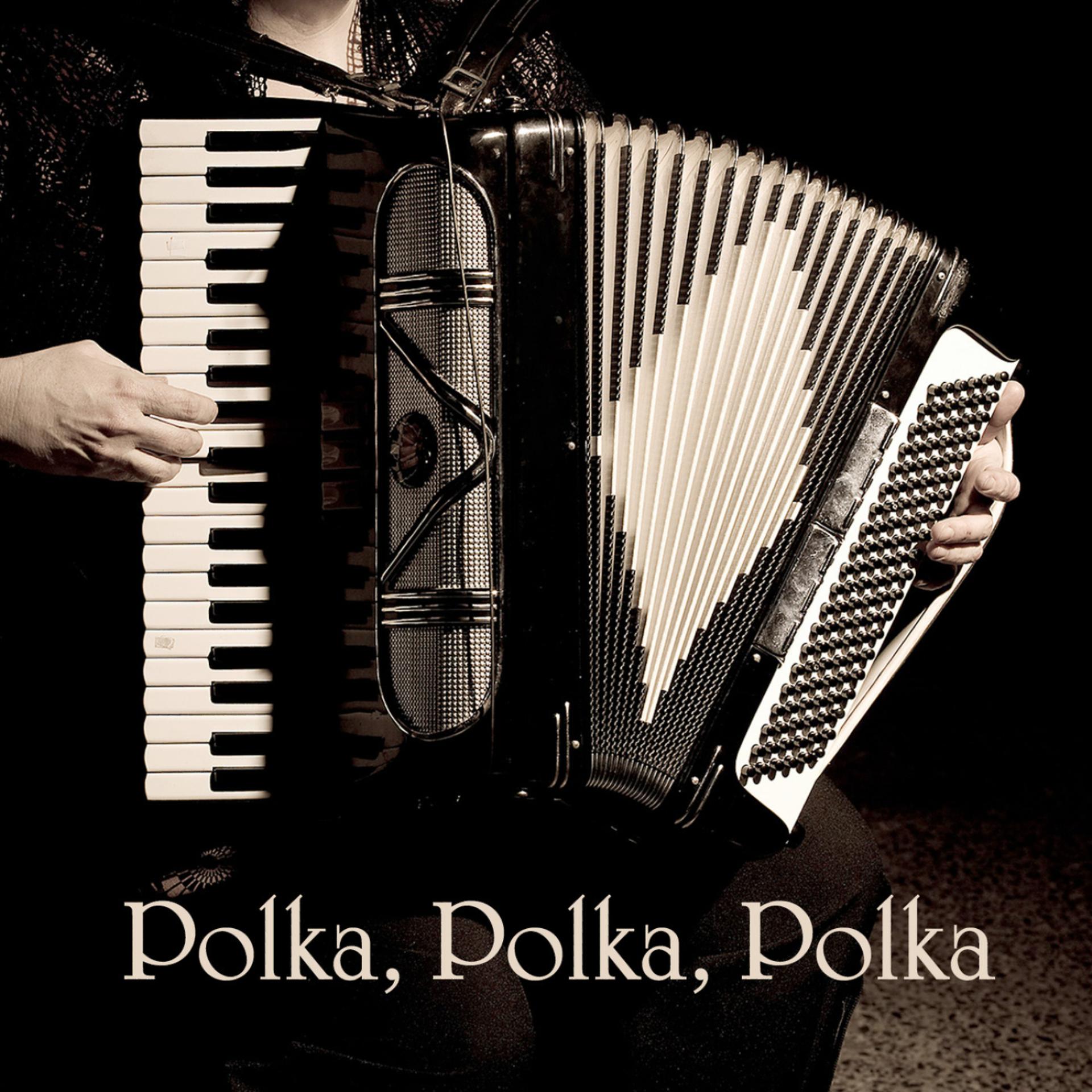 Постер альбома Polka, Polka, Polka