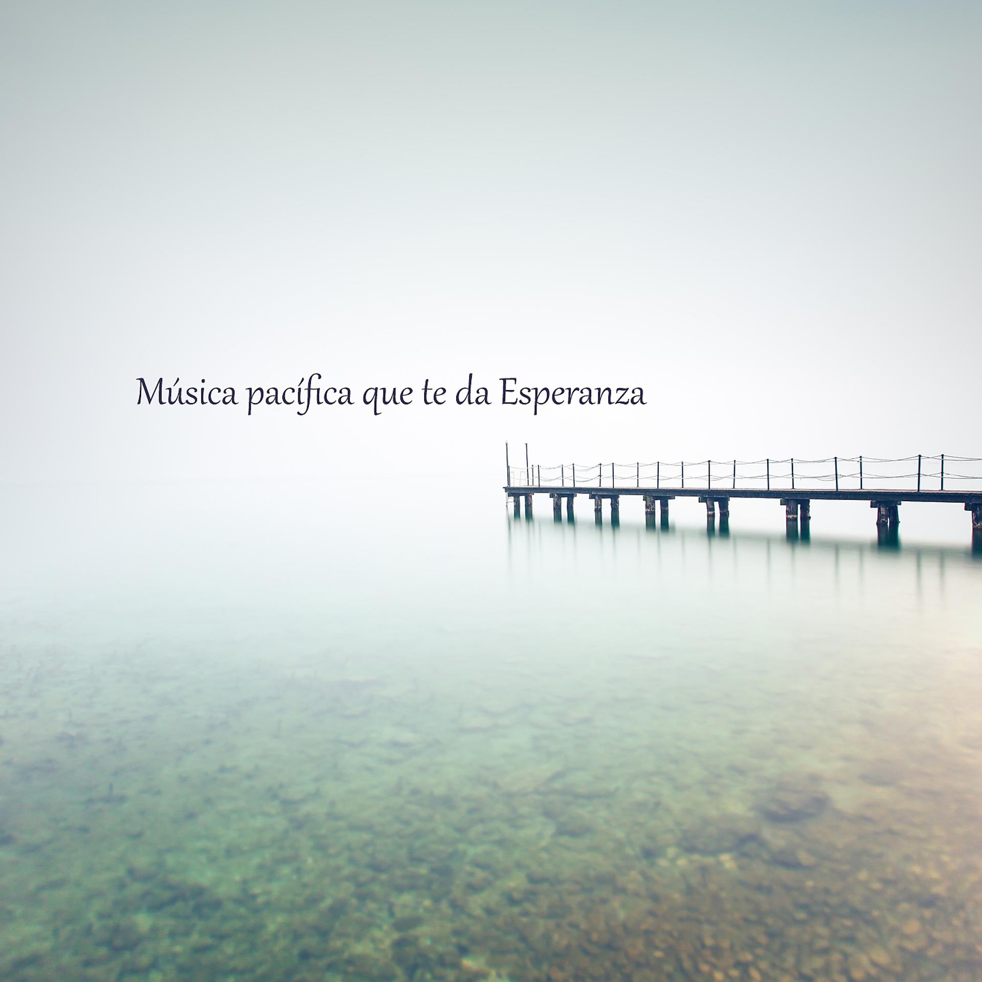 Постер альбома Música Pacífica Que Te Da Esperanza