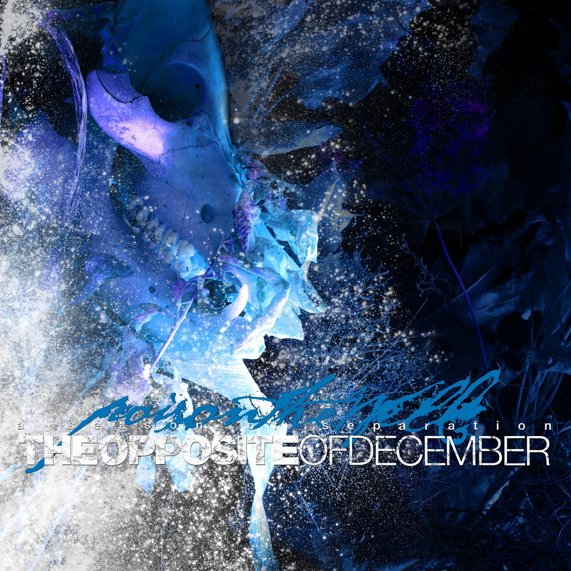 Постер альбома The Opposite of December... A Season of Separation