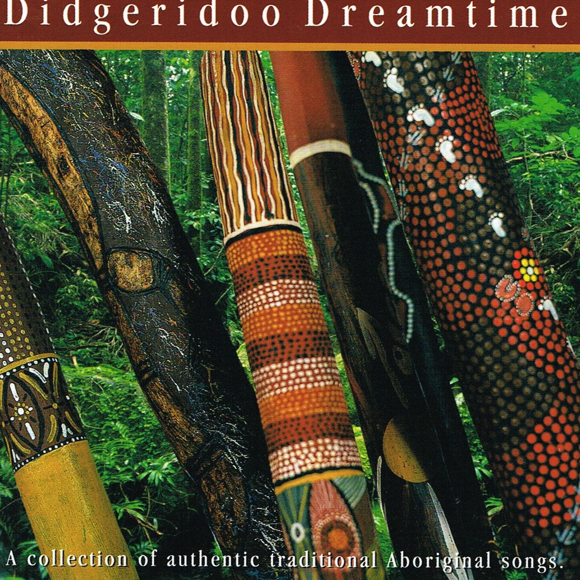 Постер альбома Didgeridoo Dreamtime