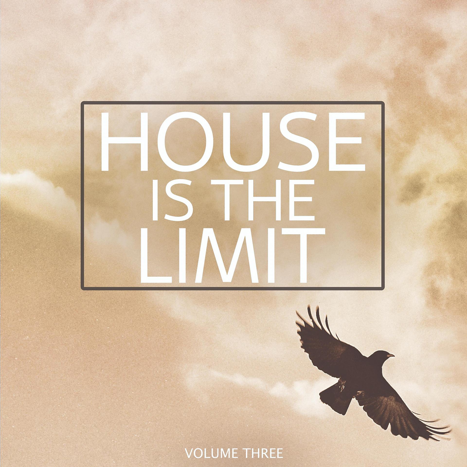 Постер альбома House is the Limit, Vol. 3