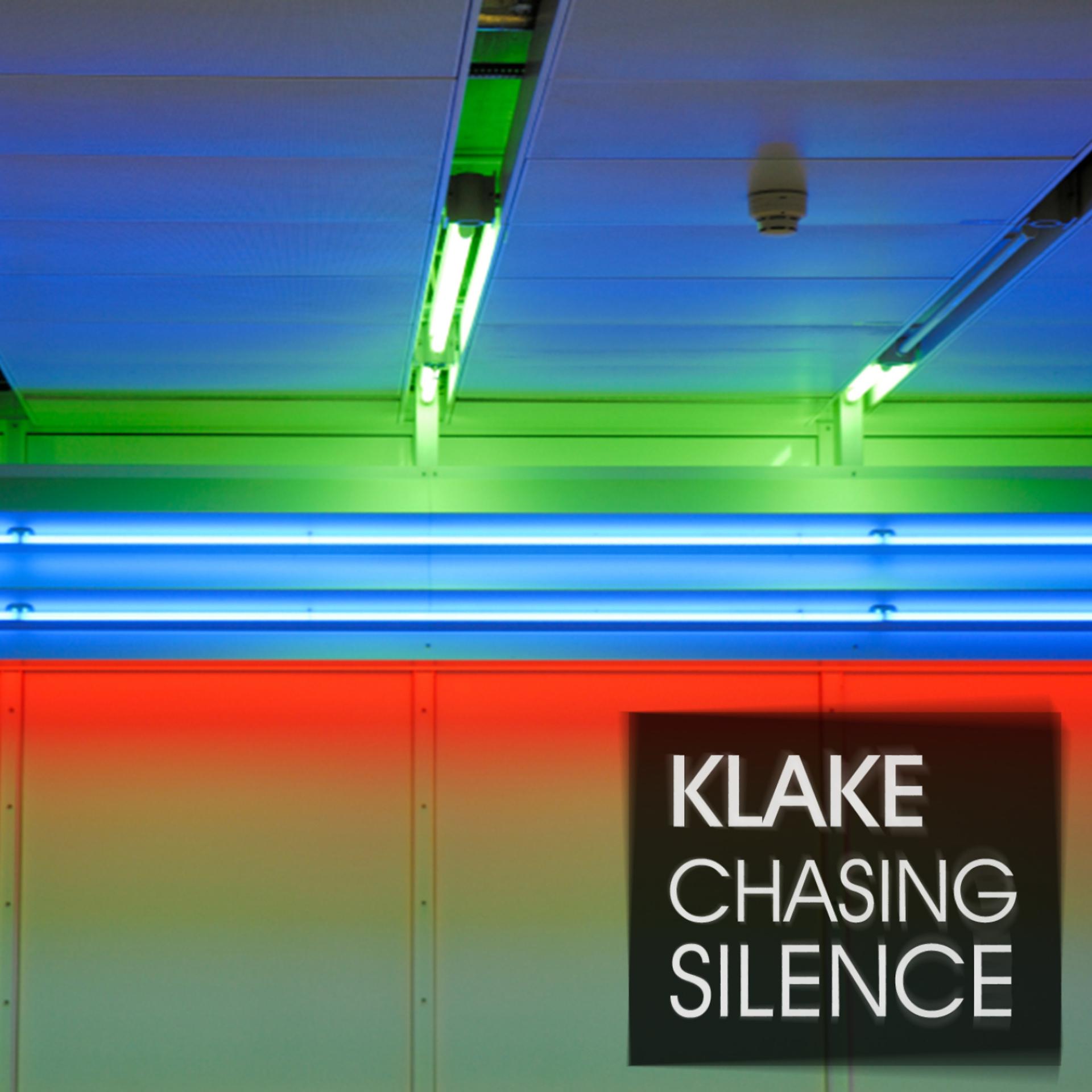 Постер альбома Chasing Silence