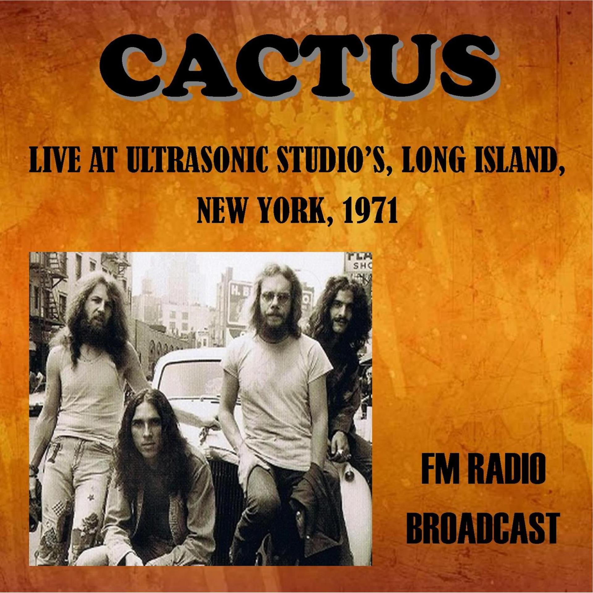 Постер альбома Live at Ultrasonic Studios, Long Island, New York, 1971 - FM Radio Broadcast