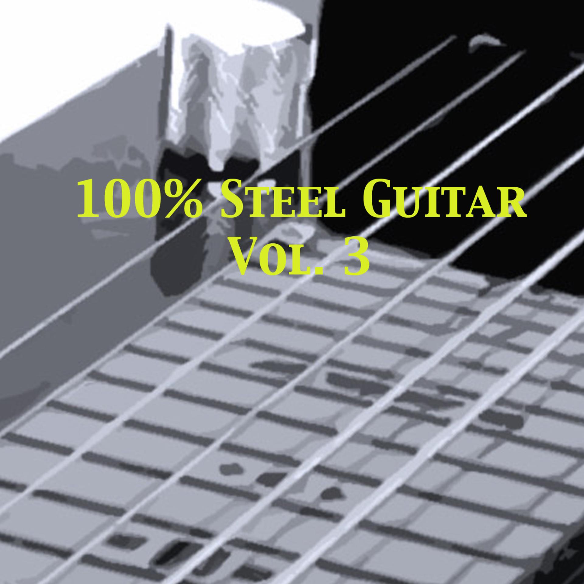 Постер альбома 100% Steel Guitar, Vol. 3